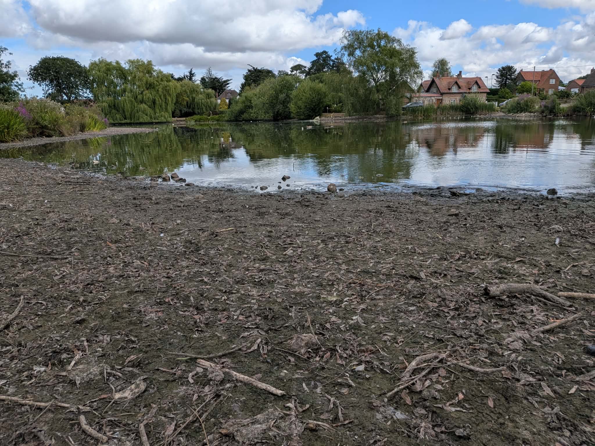 Dredging and Restoring the Scotsman’s Pit, Great Massingham campaign photo, 2 of 8