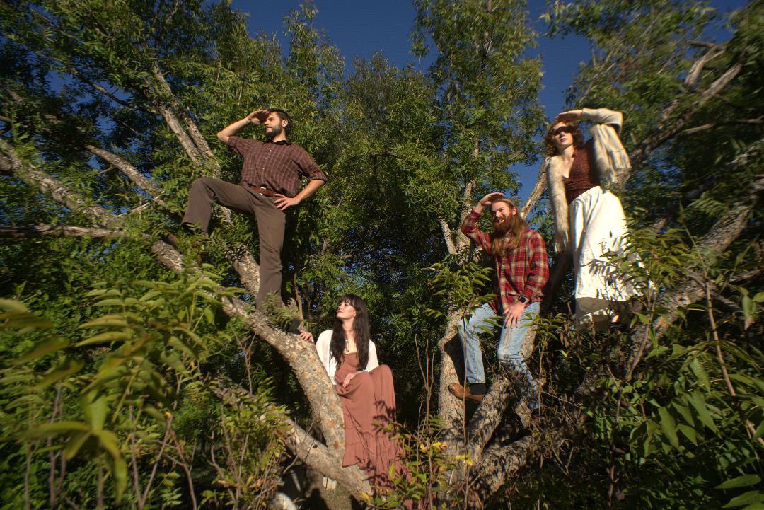 Help Bovine Get Home from Tour campaign photo, 7 of 8