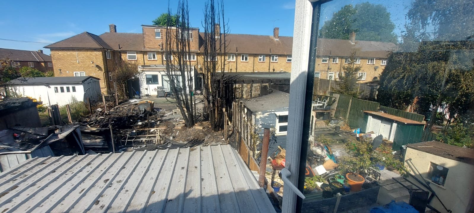 Help us rebuild after a huge fire destroyed our garden campaign photo, 4 of 6