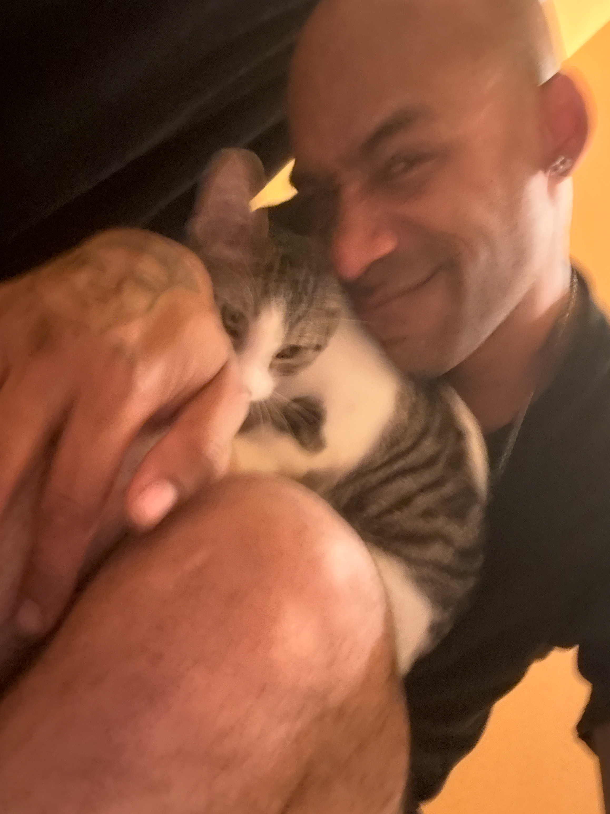 Help Us Save Our Beloved Cat campaign photo, 5 of 8