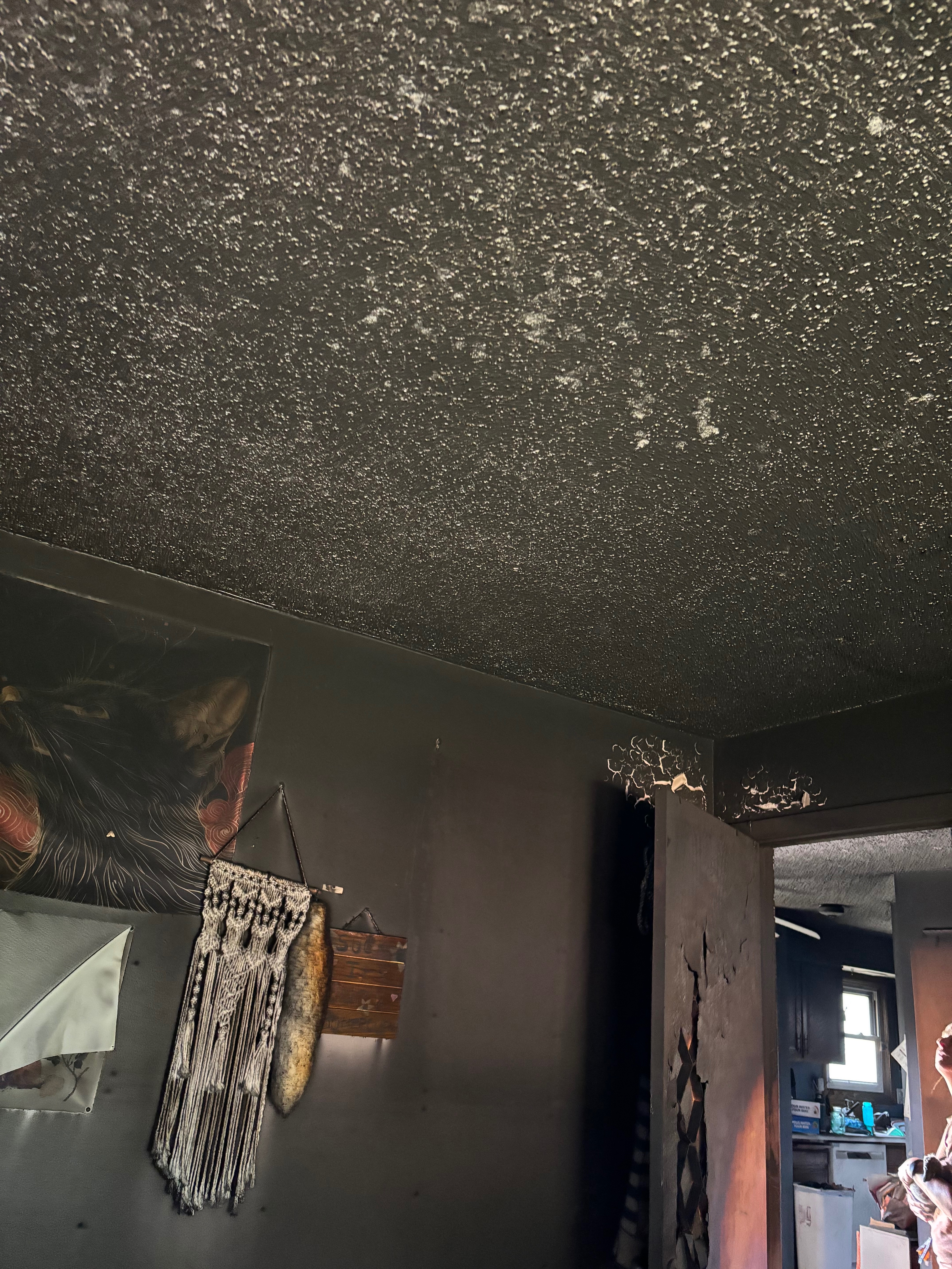 Help Casandra Sanoski Rebuild After House Fire campaign photo, 6 of 8