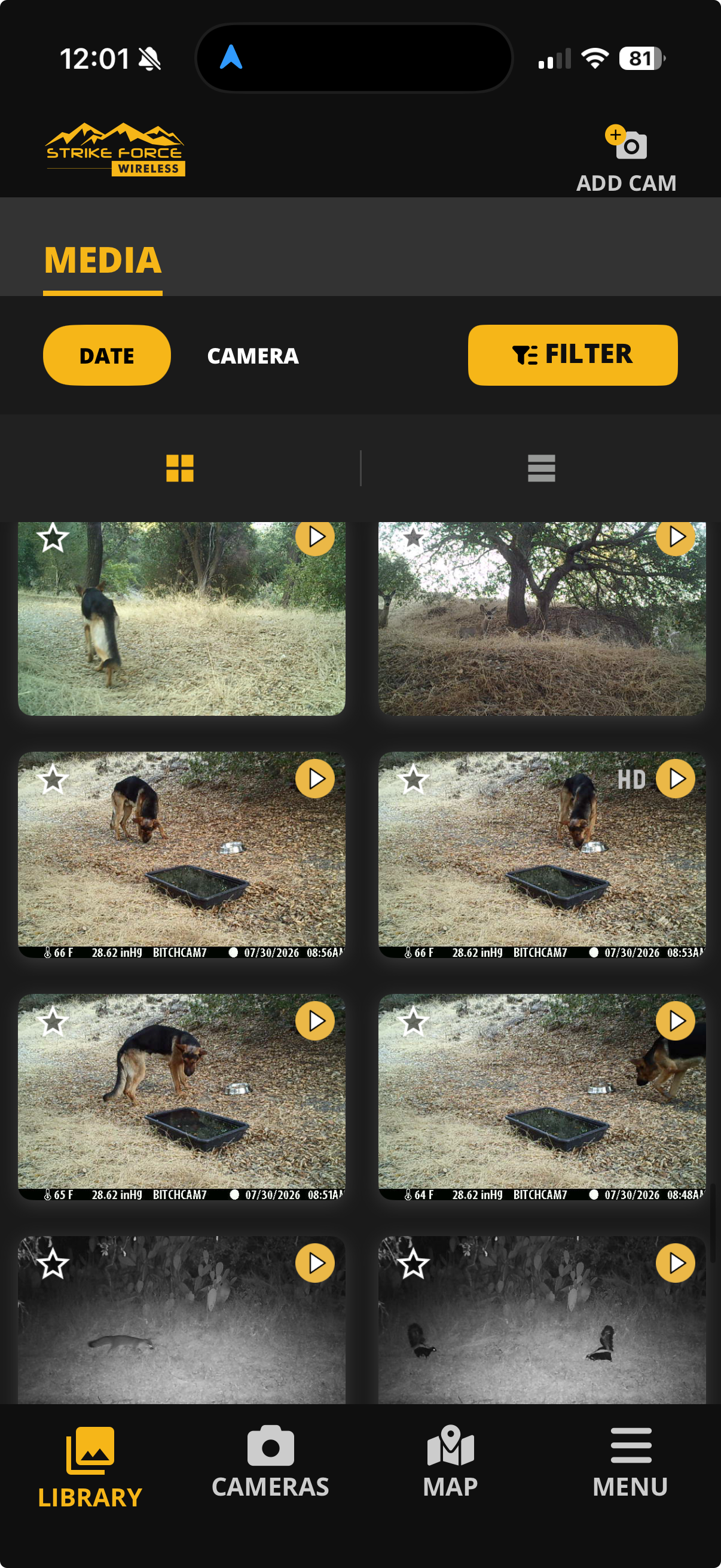 Help Oakley Heal After His Trabuco Canyon Rescue campaign photo, 4 of 8