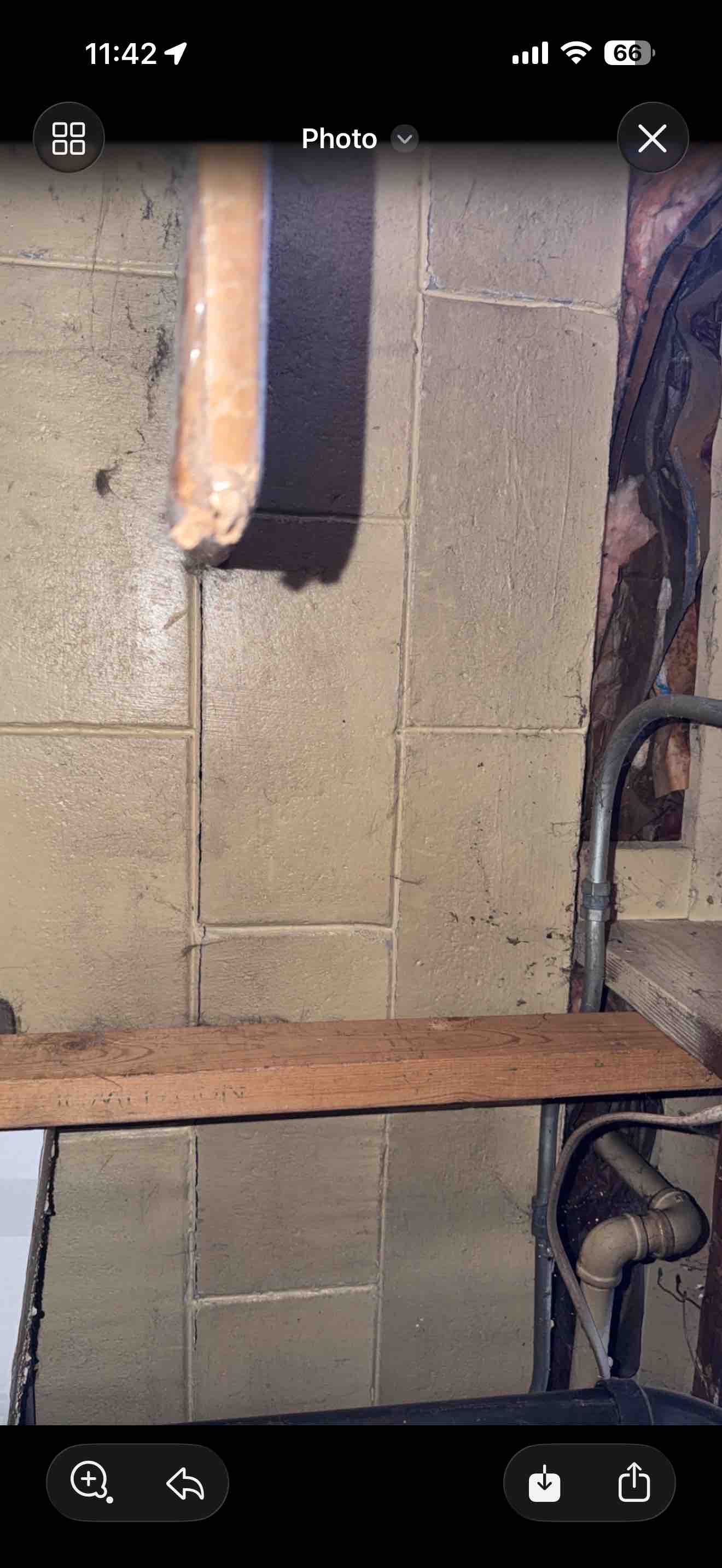 Help Trinity, Kota, and Beckett Rebuild Their Home campaign photo, 7 of 13