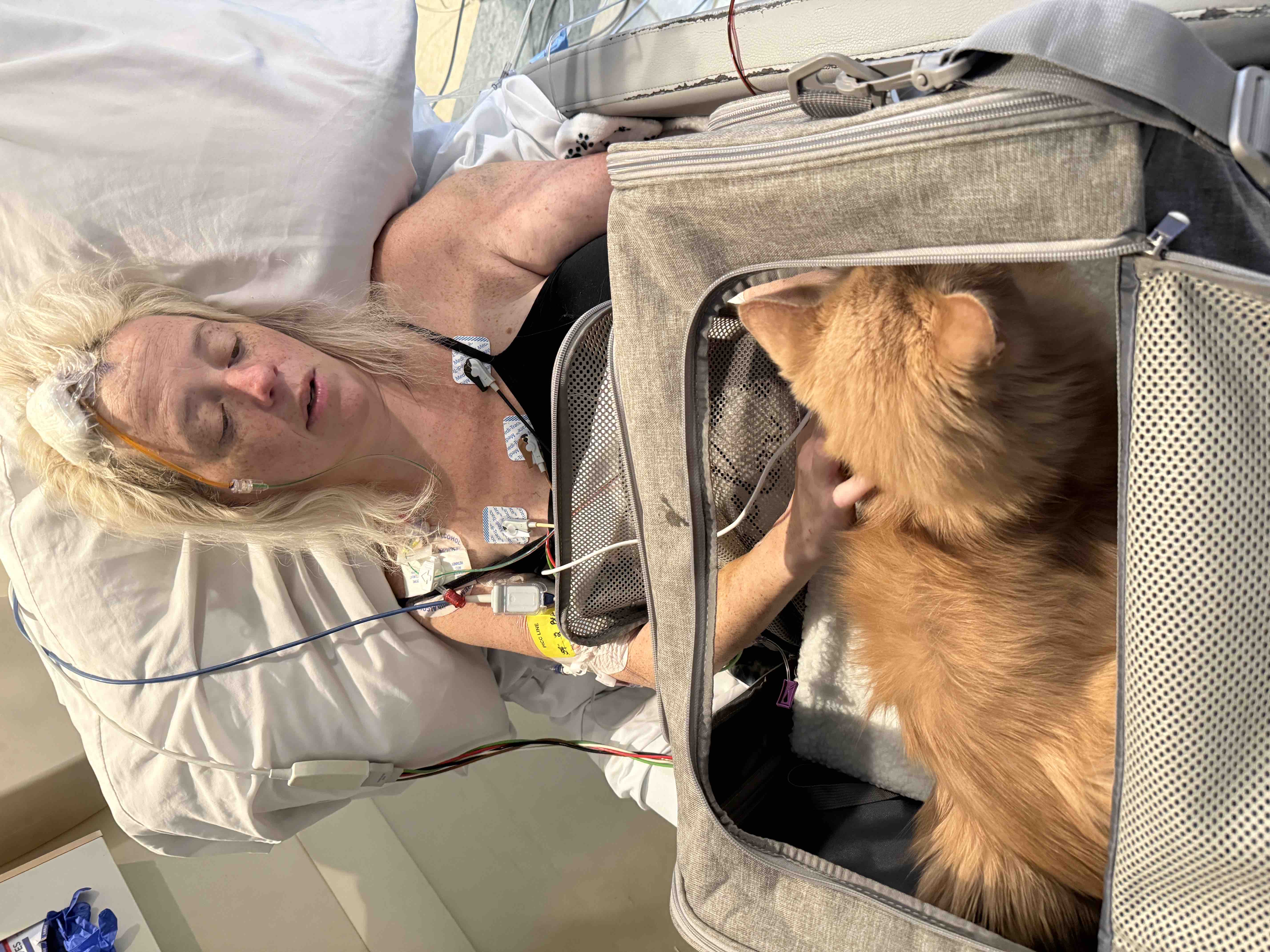 Support Julie’s Recovery After Brain Aneurysm campaign photo, 7 of 10