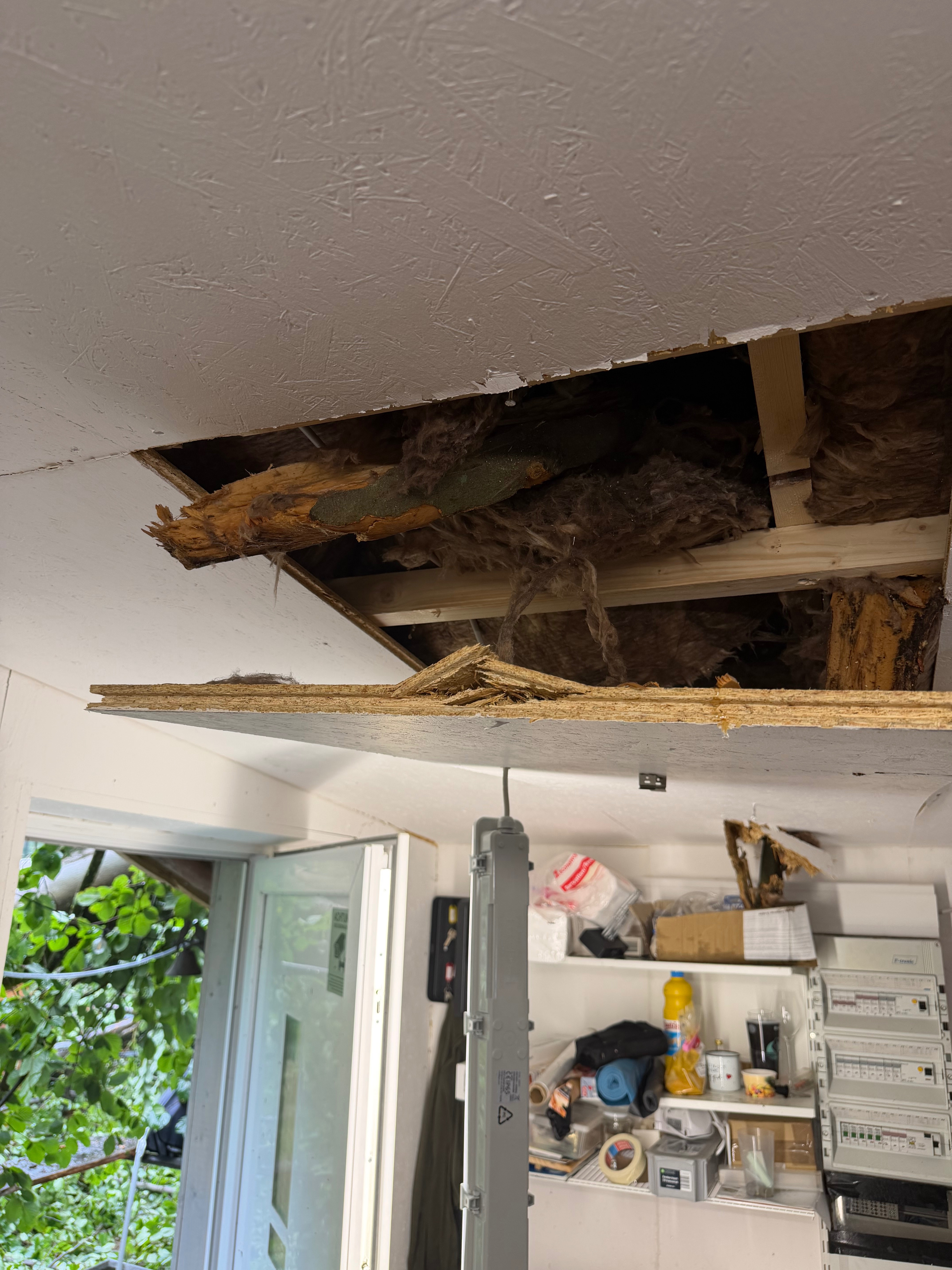 Kampagnen-Foto für „Sturmkatastrophe am Amselsee – Helft uns beim Wiederaufbau“, 2 von 8