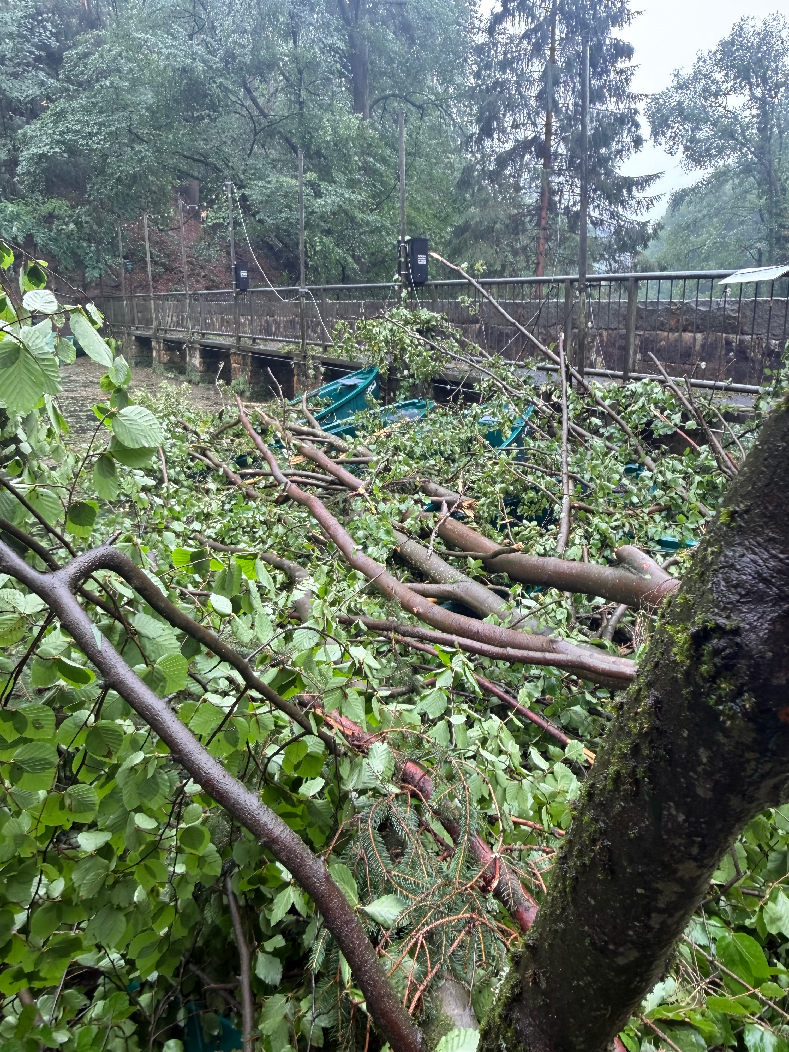 Kampagnen-Foto für „Sturmkatastrophe am Amselsee – Helft uns beim Wiederaufbau“, 4 von 8