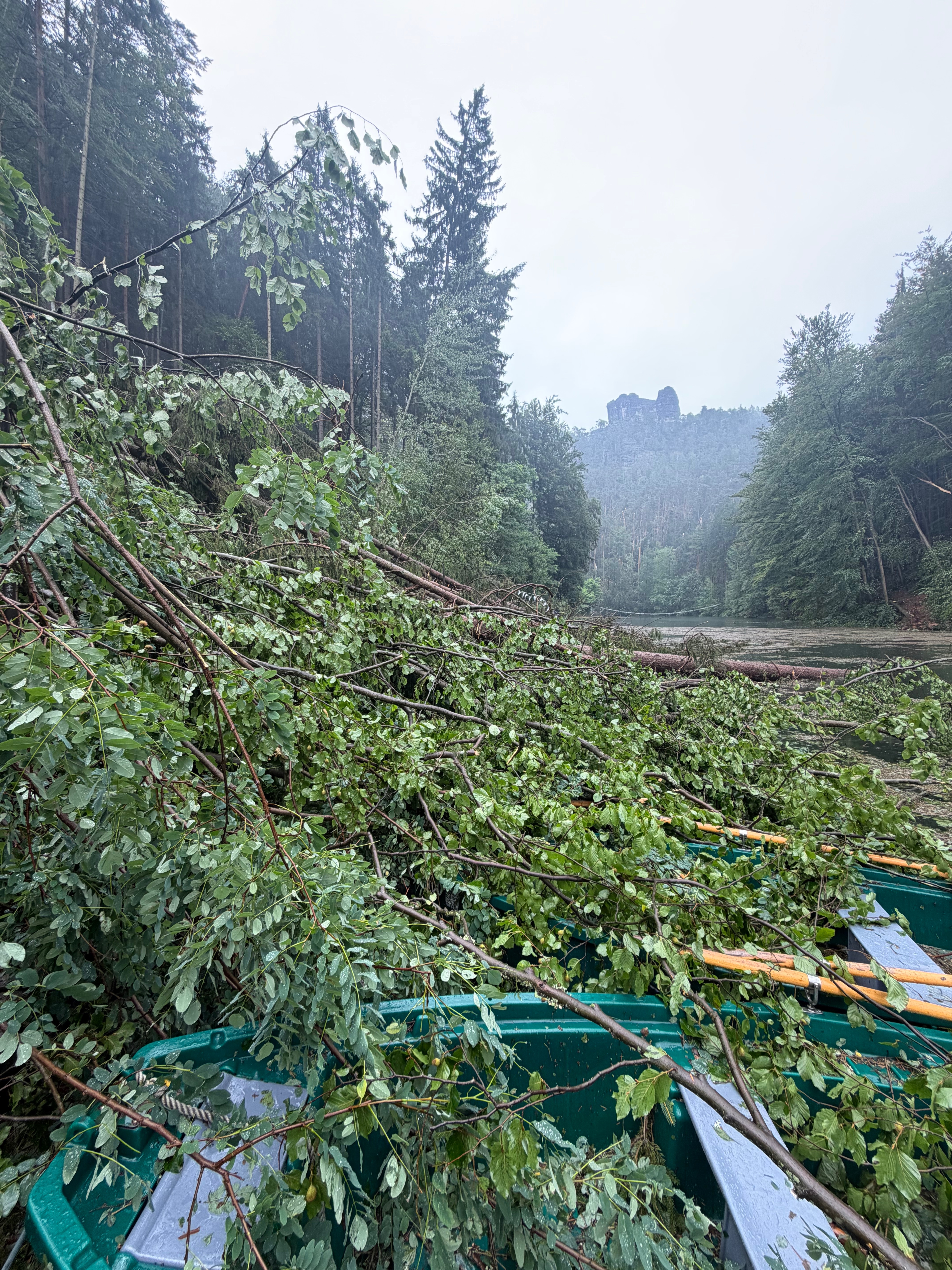 Kampagnen-Foto für „Sturmkatastrophe am Amselsee – Helft uns beim Wiederaufbau“, 5 von 8