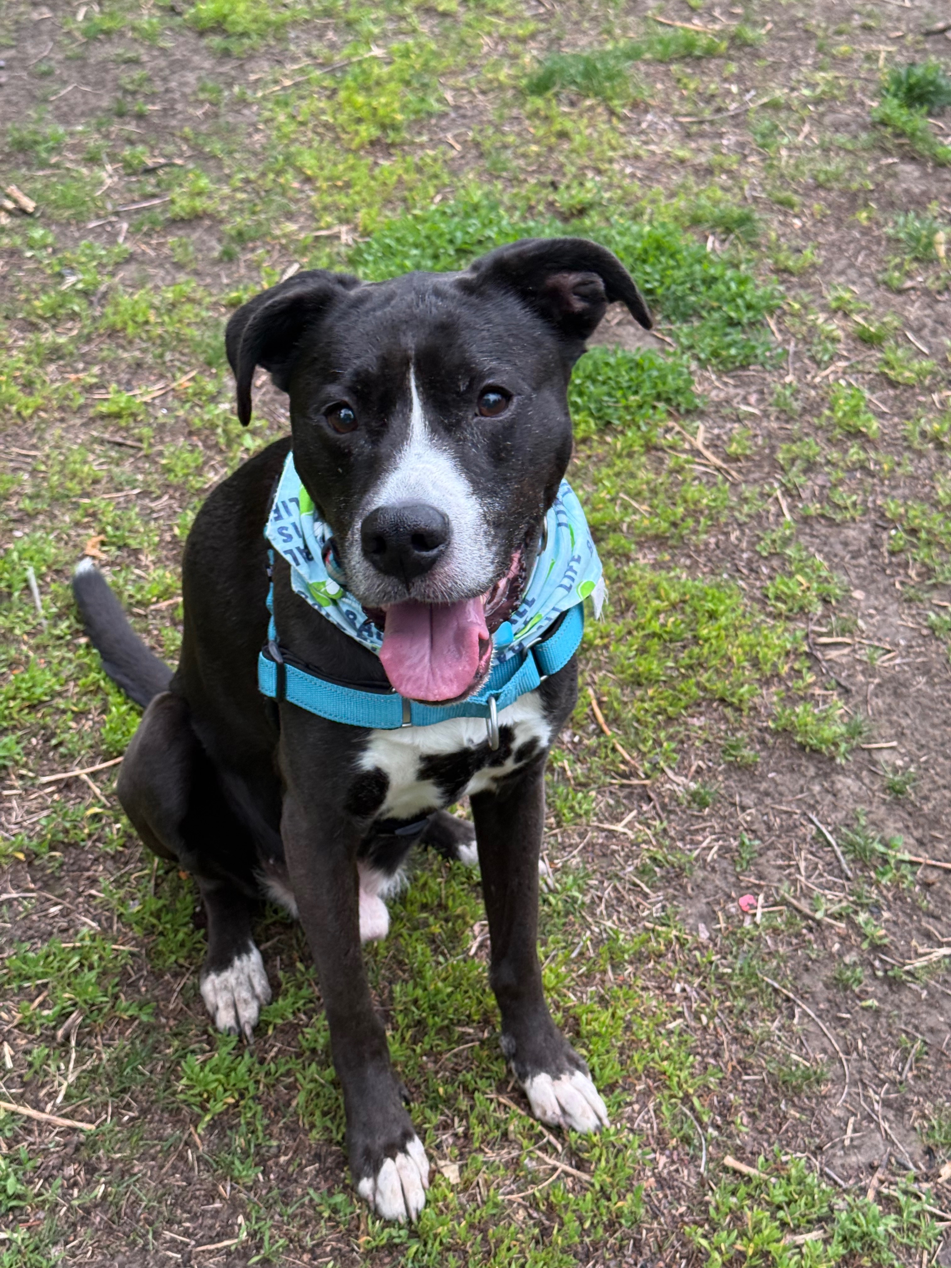 Wrigley’s Fund: Keeping Him Healthy, Happy and Safe campaign photo, 7 of 8