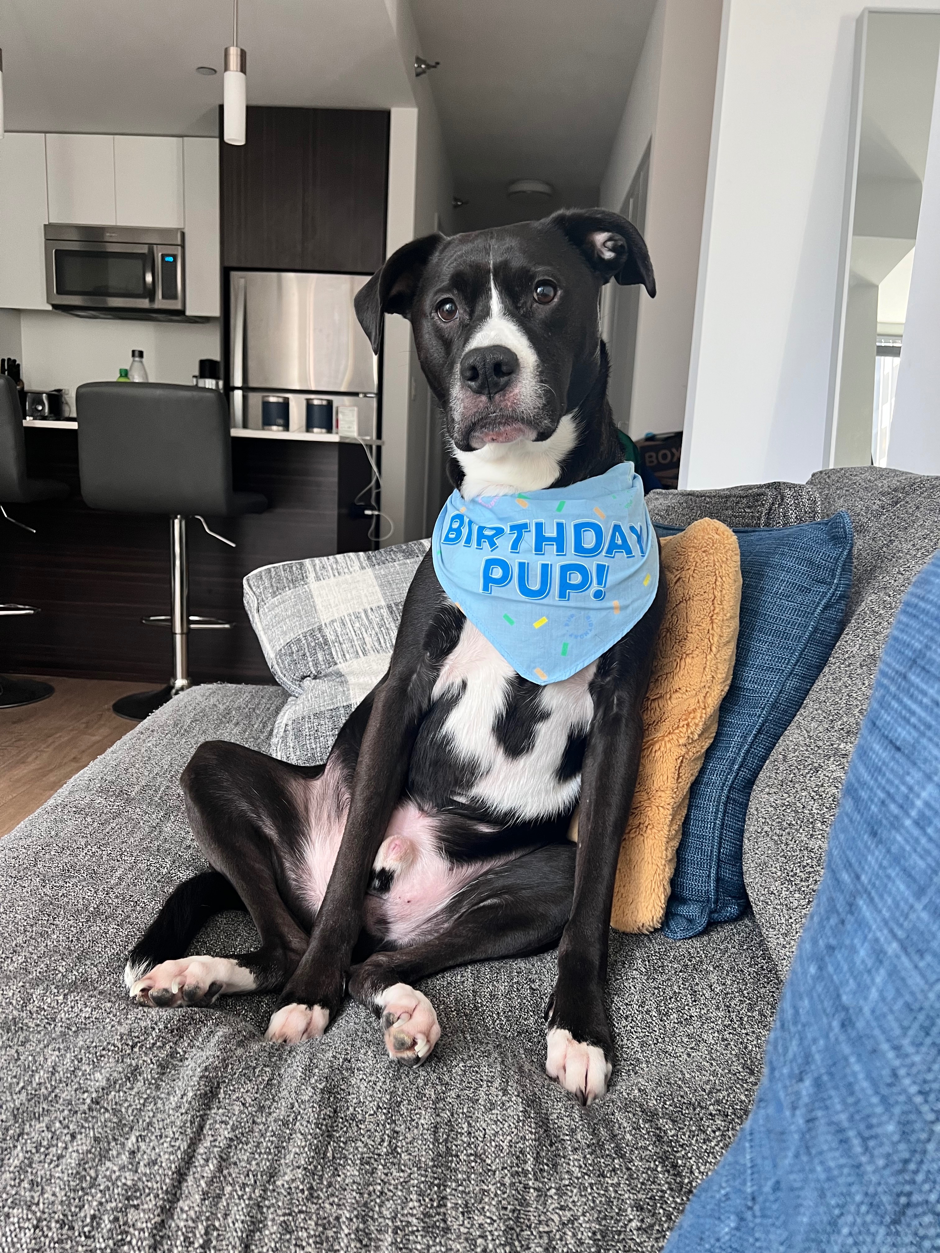 Wrigley’s Fund: Keeping Him Healthy, Happy and Safe campaign photo, 4 of 8