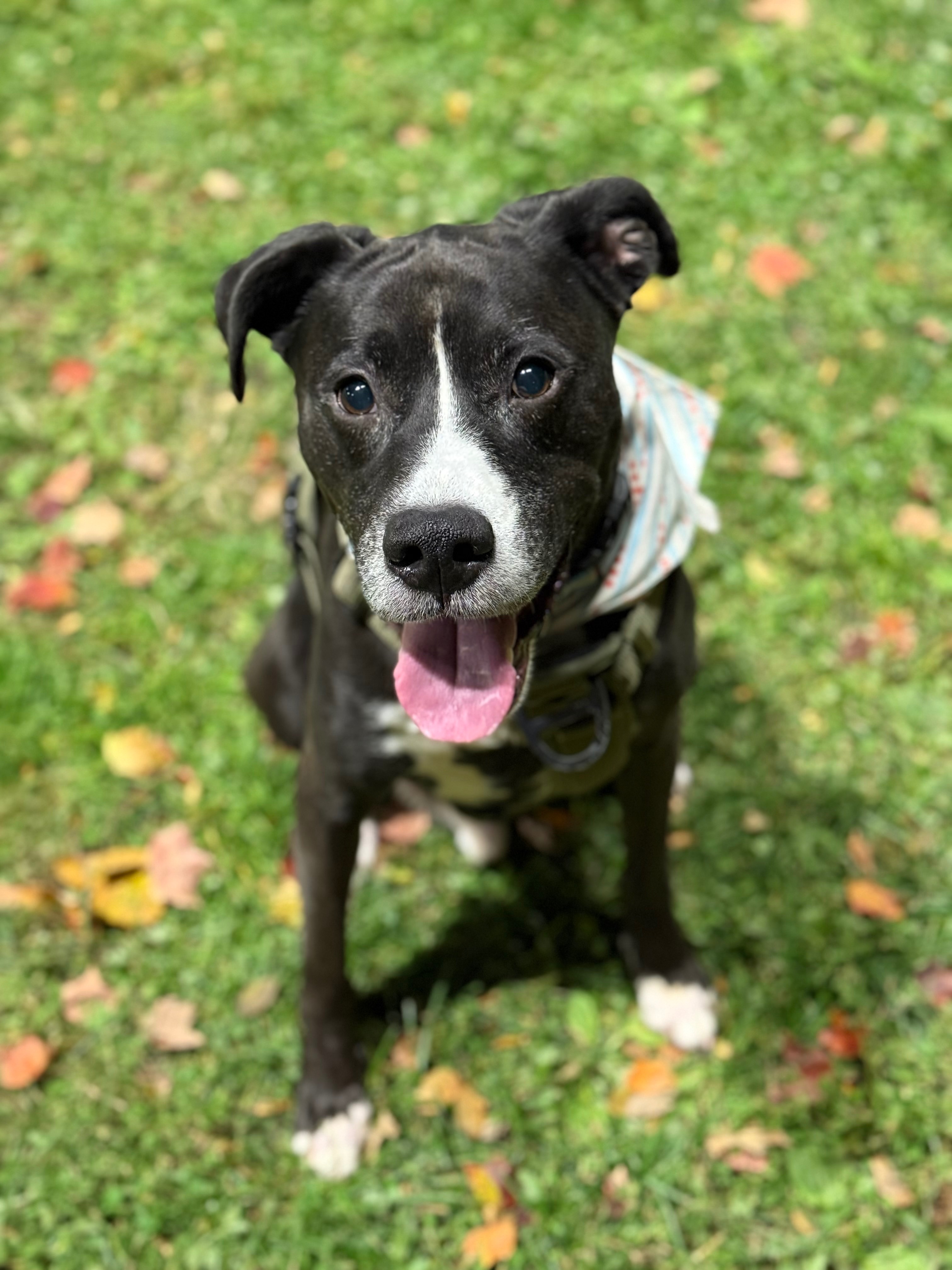 Wrigley’s Fund: Keeping Him Healthy, Happy and Safe campaign photo, 5 of 8