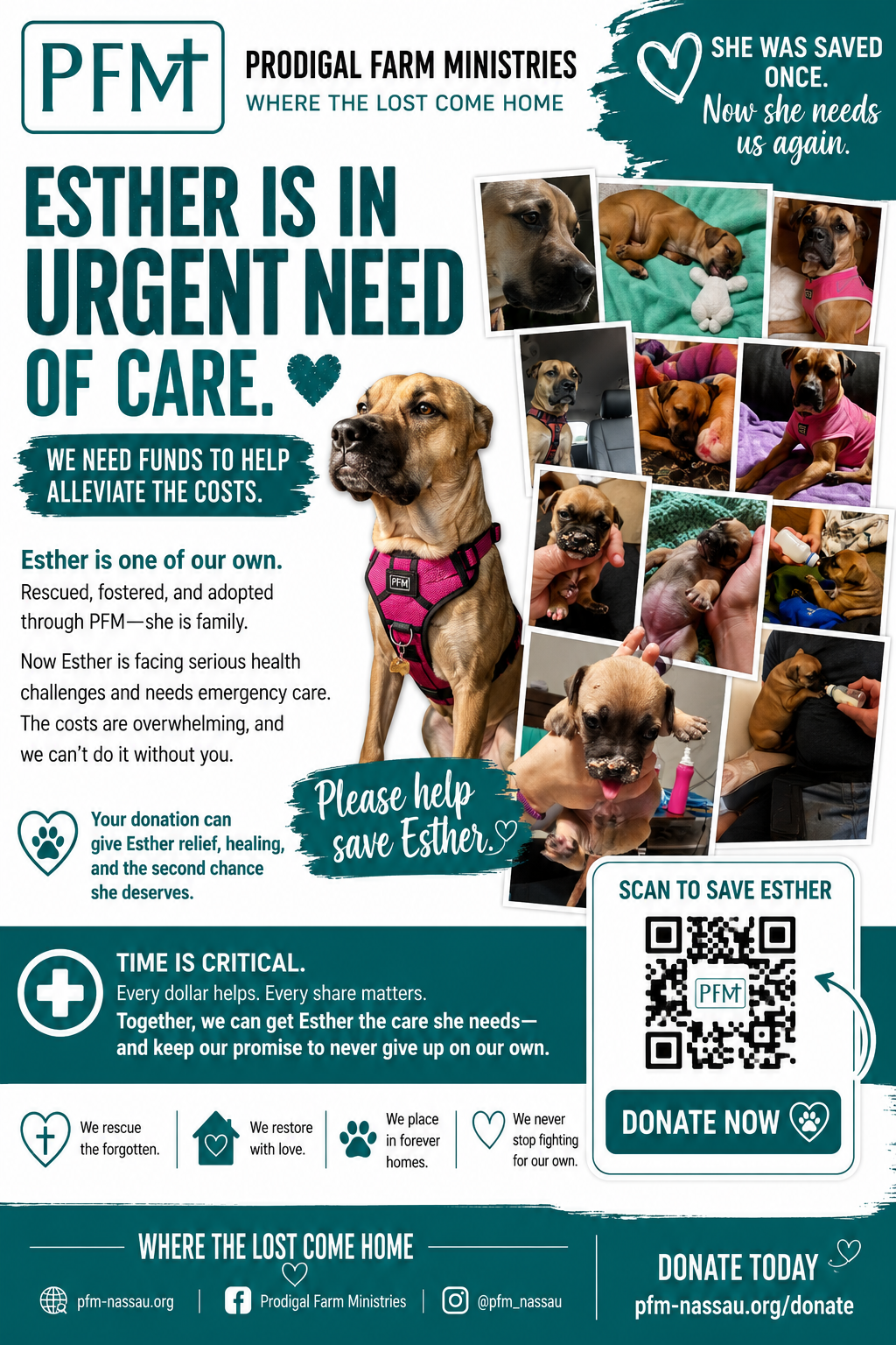 Esther's health campaign photo, 4 of 5