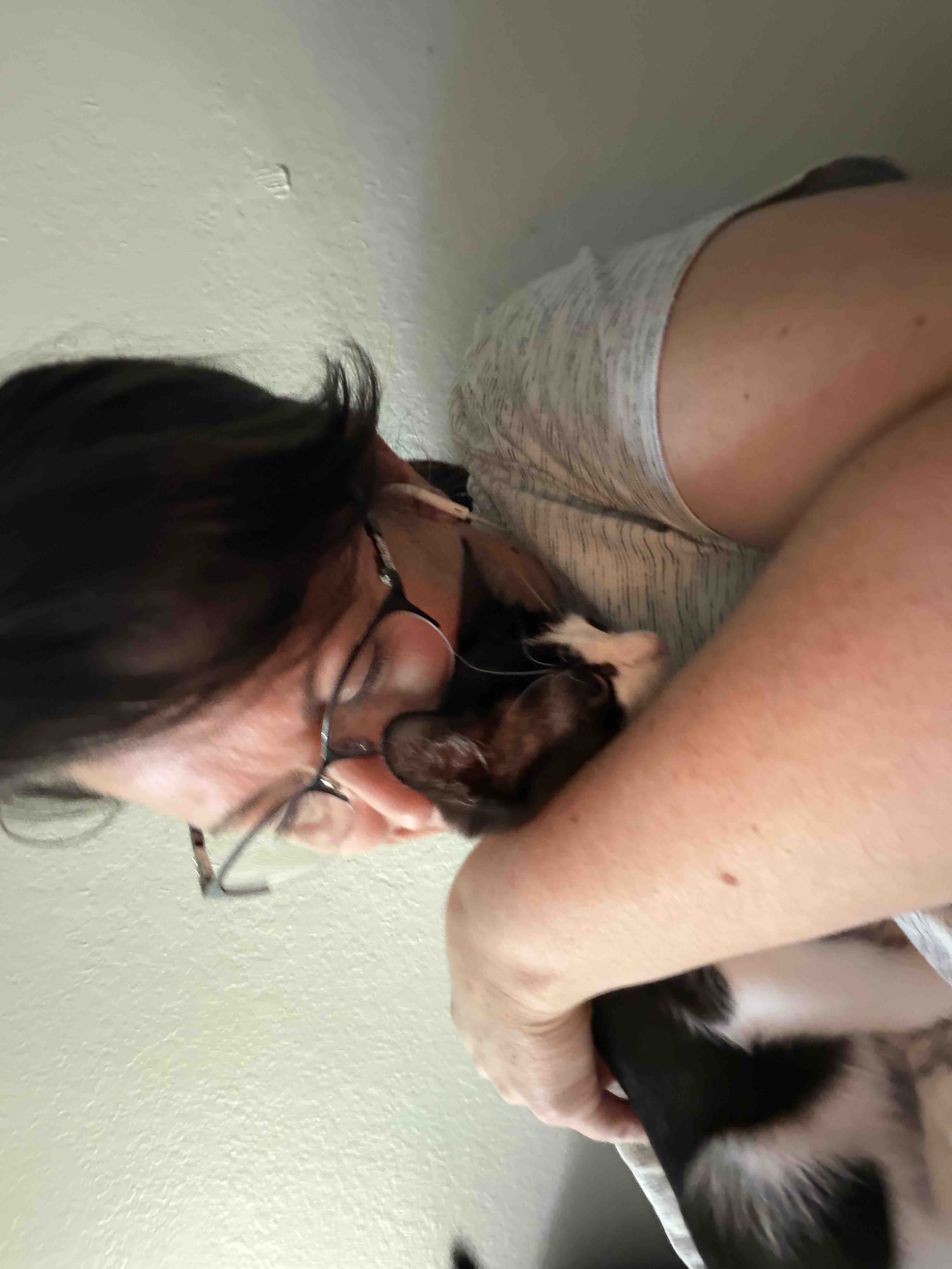 Support Laura & Will's Upcoming Adoption! campaign photo, 2 of 7