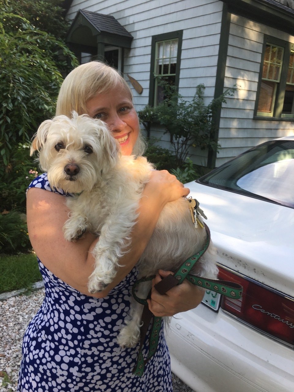 Help with Henry-the-Wonder-Dog's final care campaign photo, 7 of 8