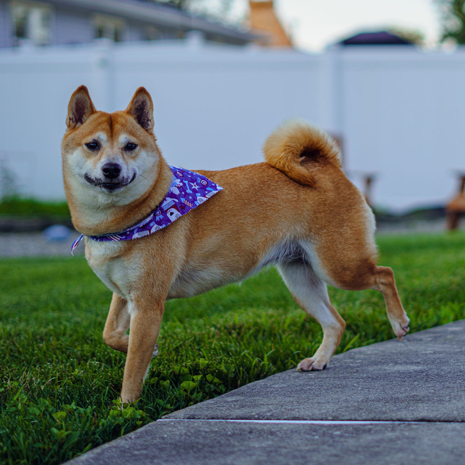 Help Tsuki Get Life-Saving Care campaign photo, 2 of 8