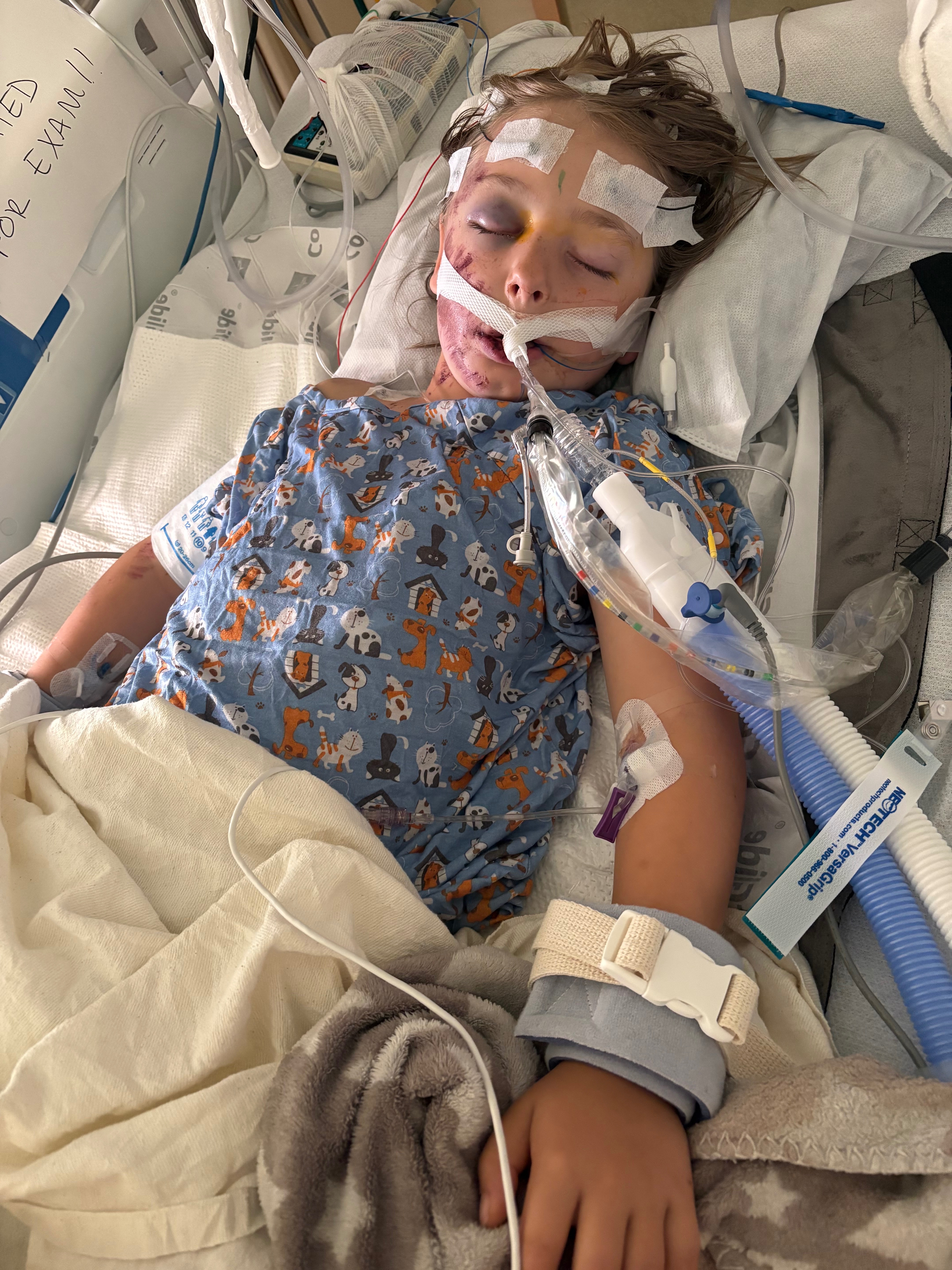 Support Neighbor's Son After Bike Park Accident campaign photo, 2 of 5