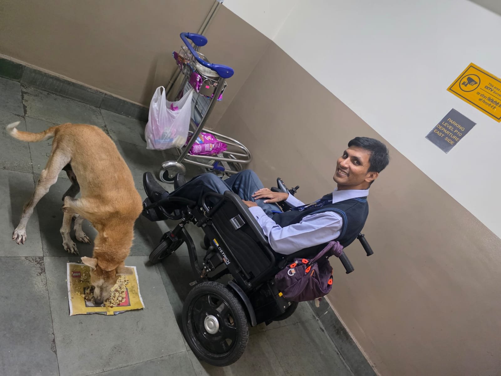 Help Joseph feed and care for 35 dogs and 10 cats in Mumbai campaign photo, 7 of 8