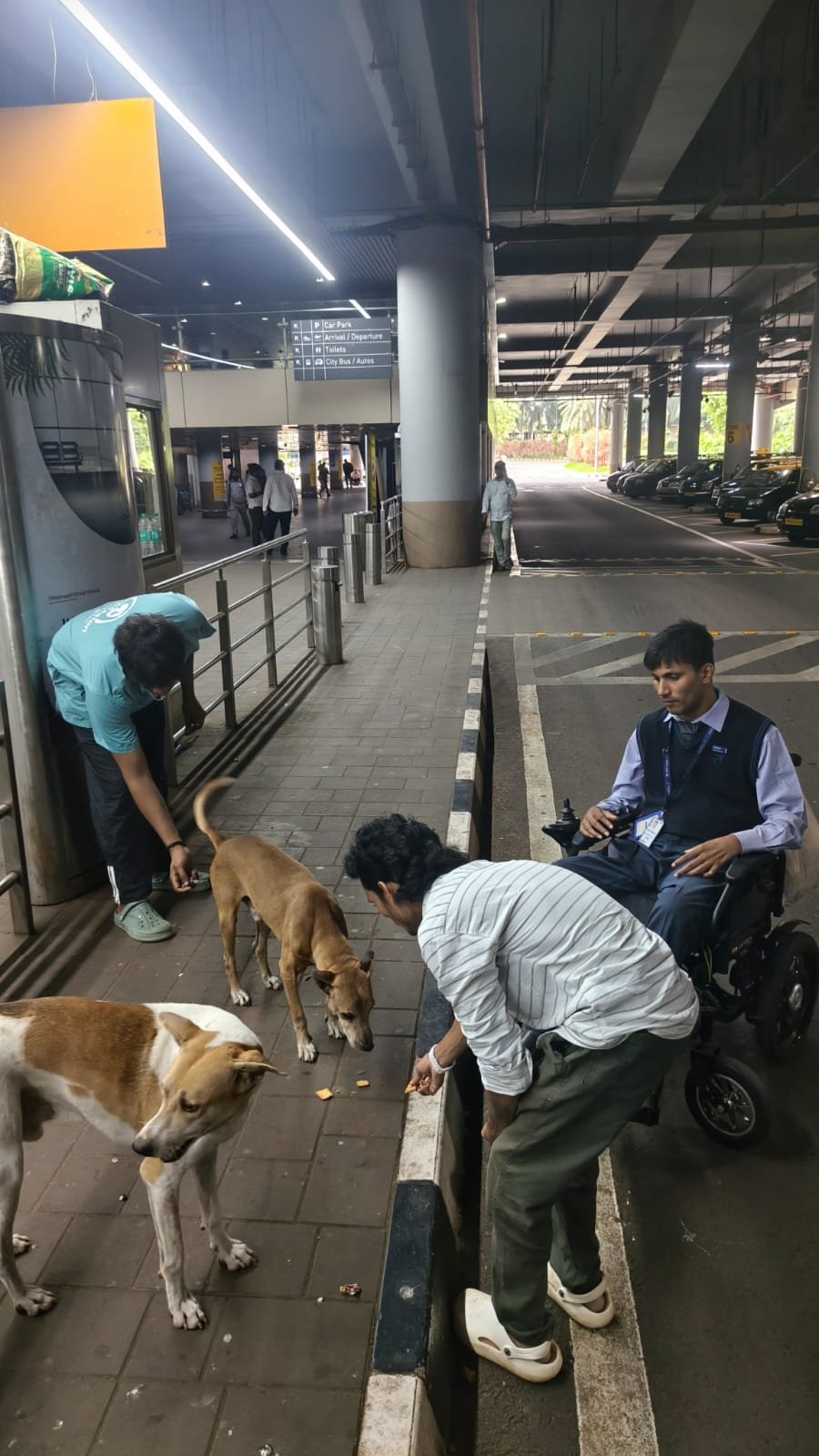 Help Joseph feed and care for 35 dogs and 10 cats in Mumbai campaign photo, 4 of 8