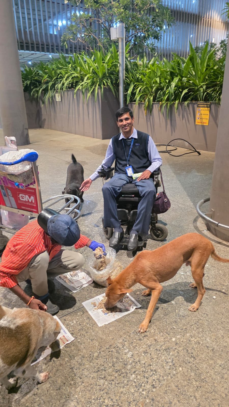 Help Joseph feed and care for 35 dogs and 10 cats in Mumbai campaign photo, 5 of 8