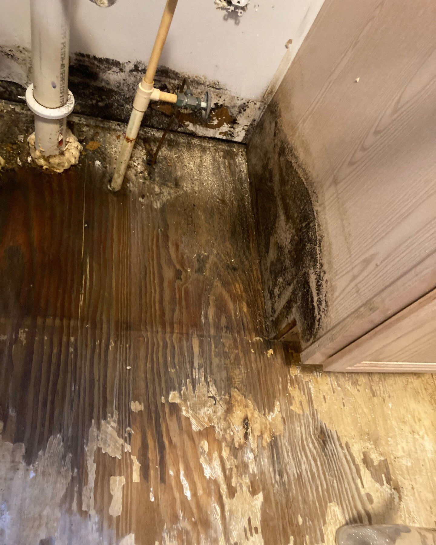 Help LINKS Robotics Rebuild After a Shop Flood campaign photo, 6 of 8