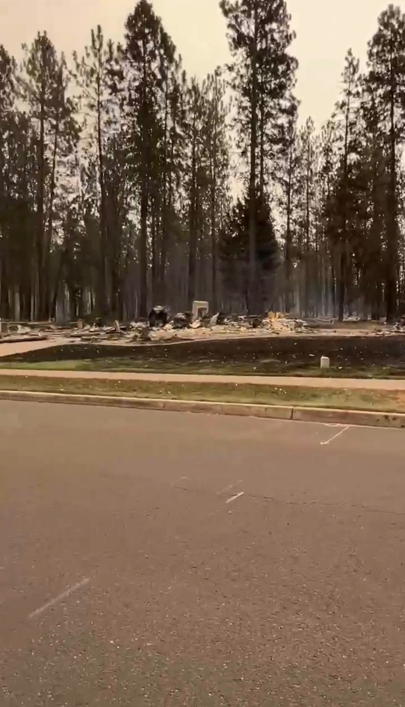 Help My Parents Rebuild After the Spokane Wildfires campaign photo, 6 of 7
