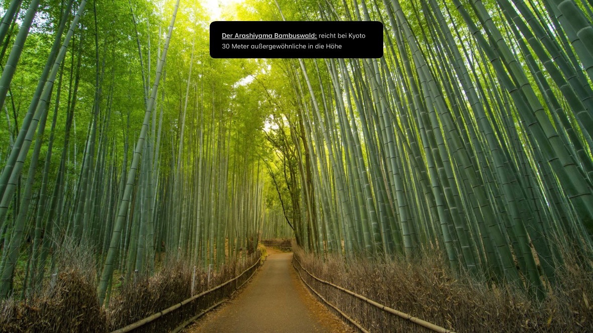 Japan entdecken: Kultur, Natur & versteckte Orte campaign photo, 4 of 8