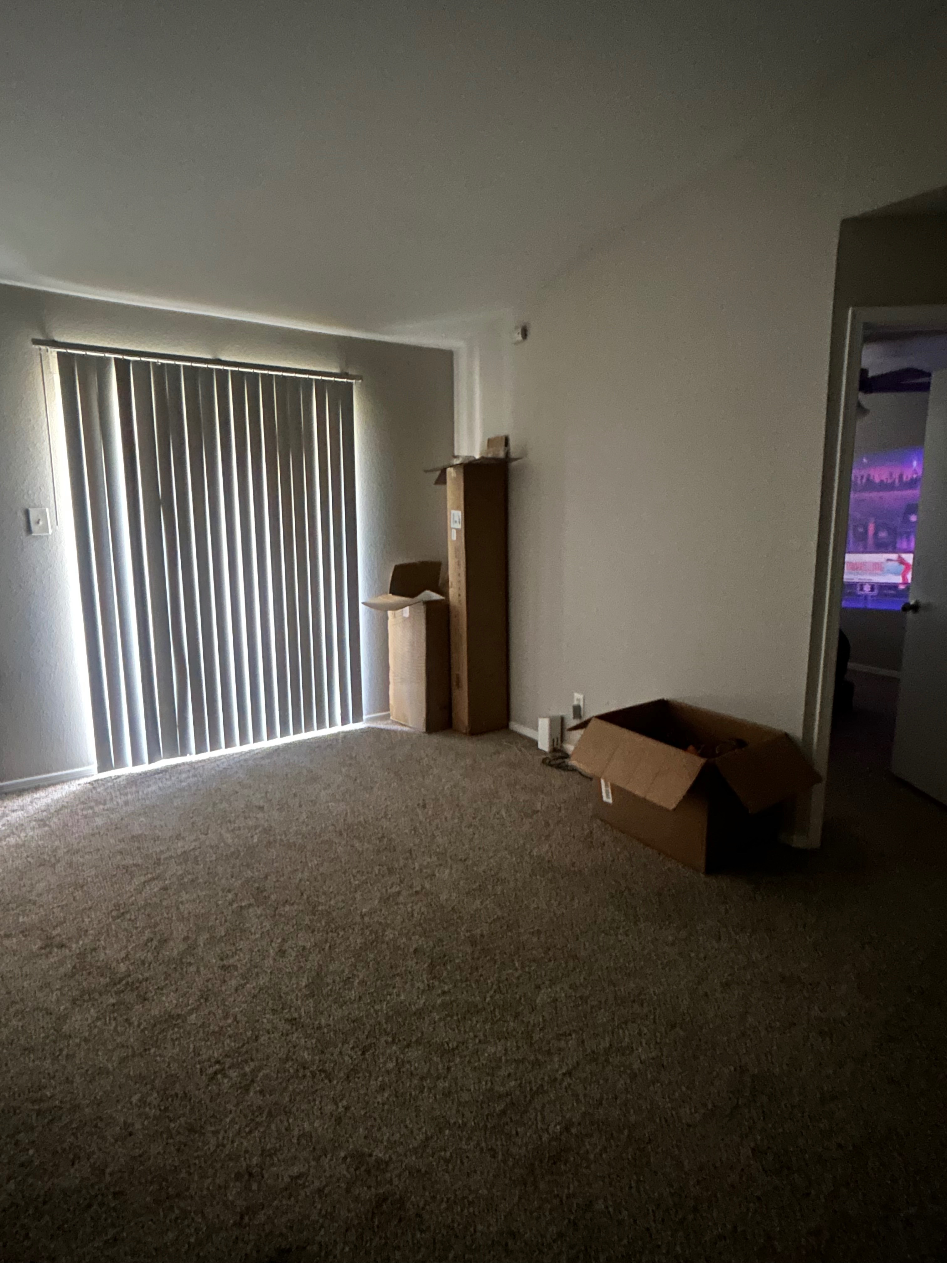 Help Me Save My Apartment and Start Fresh campaign photo, 4 of 8