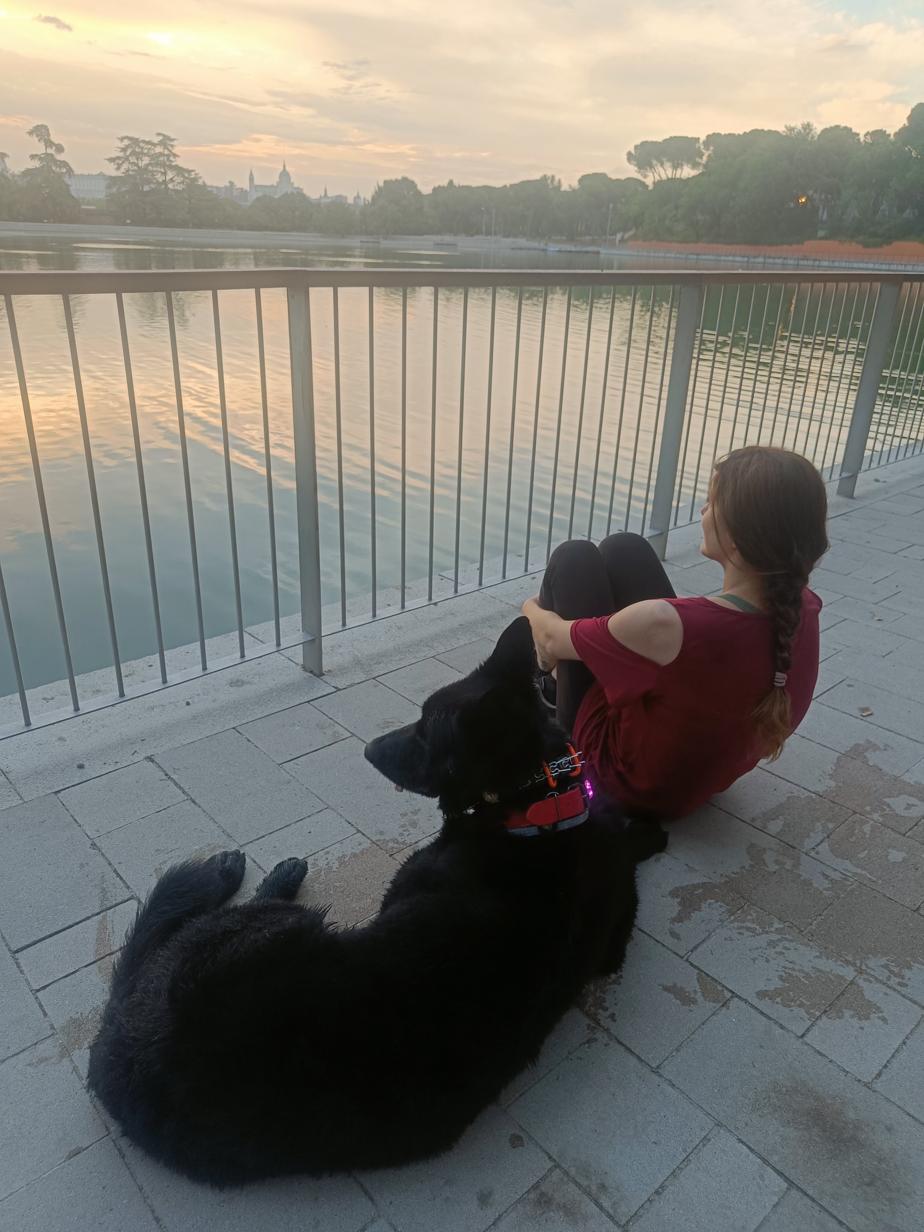 4-YEAR-OLD SERVICE DOG FIGHTING CANCER campaign photo, 6 of 8