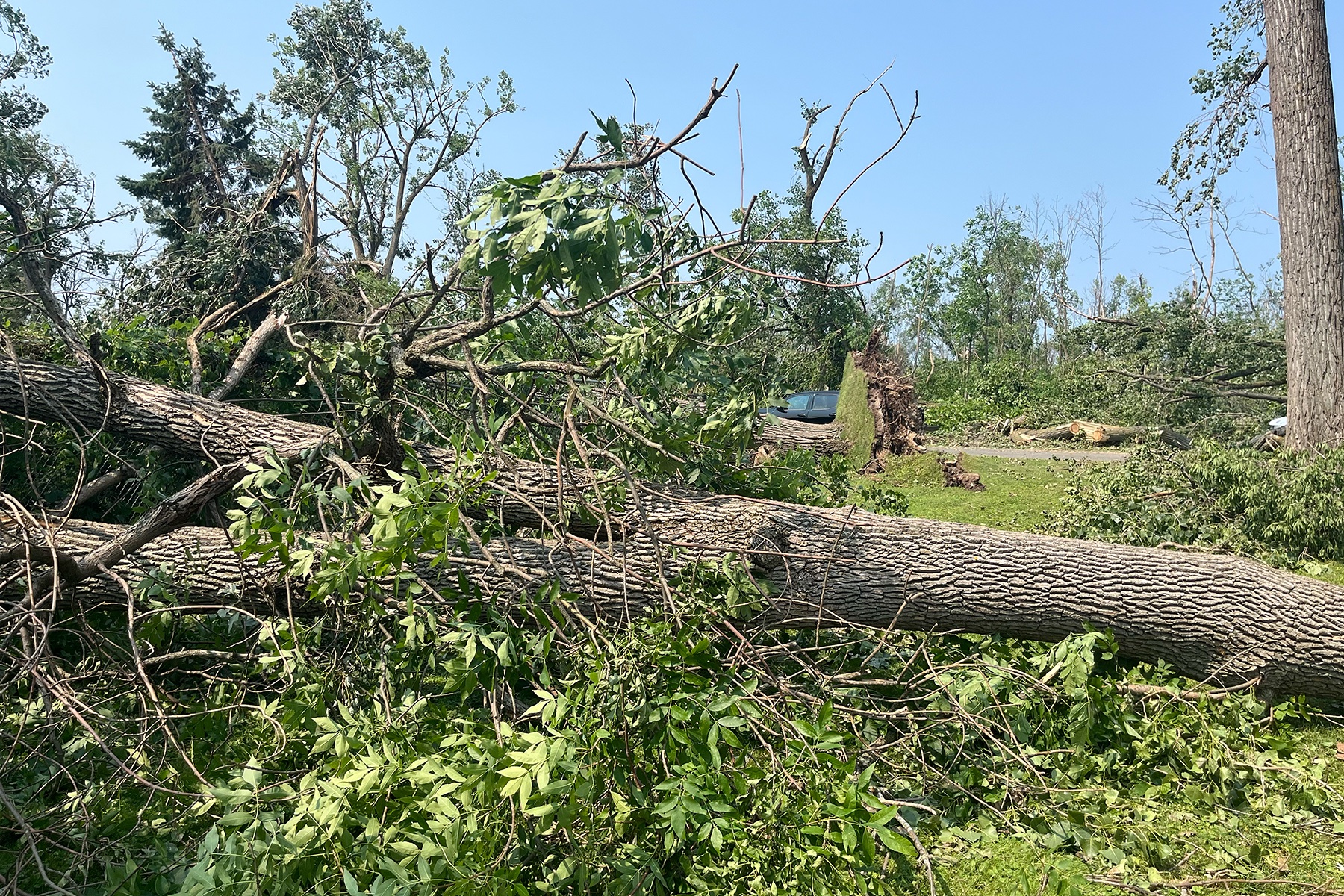 Help Carl Garrow Recover After Tornado Devastation campaign photo, 6 of 8