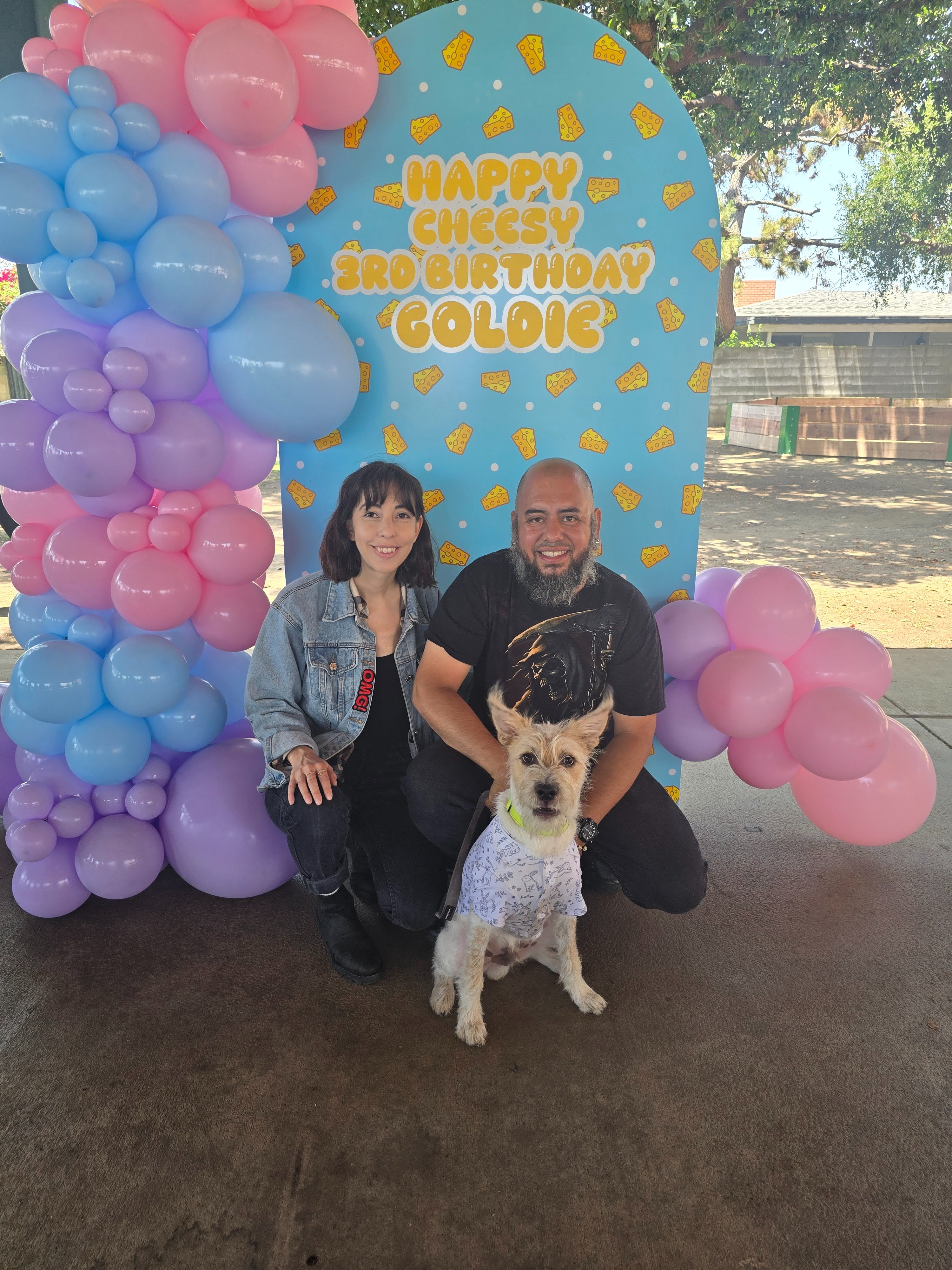 I'm Walking 30 Miles with My Dog for American Cancer Society campaign photo, 4 of 8