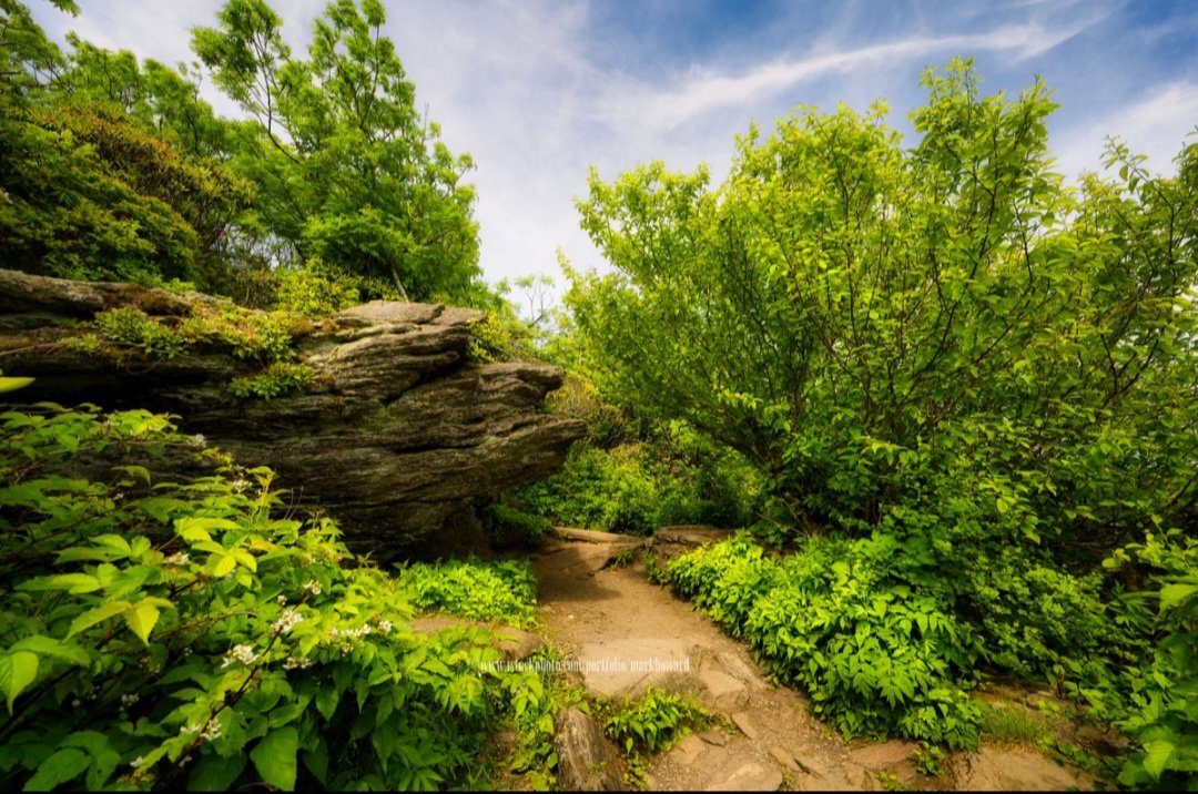 Discover North Carolina's Hidden Gems campaign photo, 7 of 8