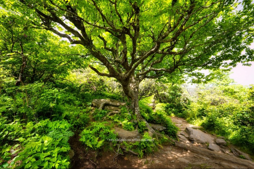 Discover North Carolina's Hidden Gems campaign photo, 2 of 8