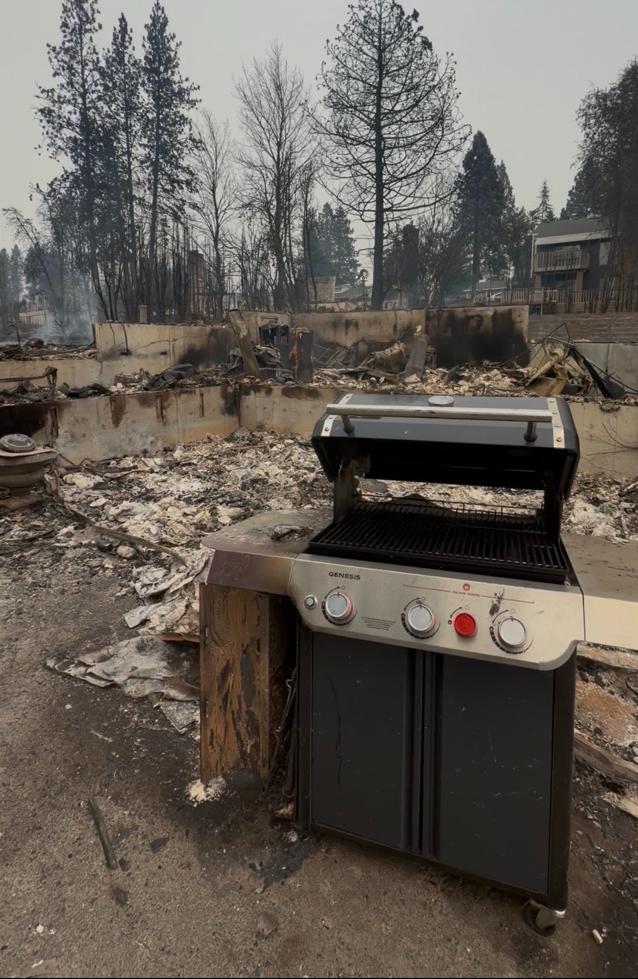 Help Matt & Vanessa Lyman Rebuild After Spokane Fire campaign photo, 6 of 7