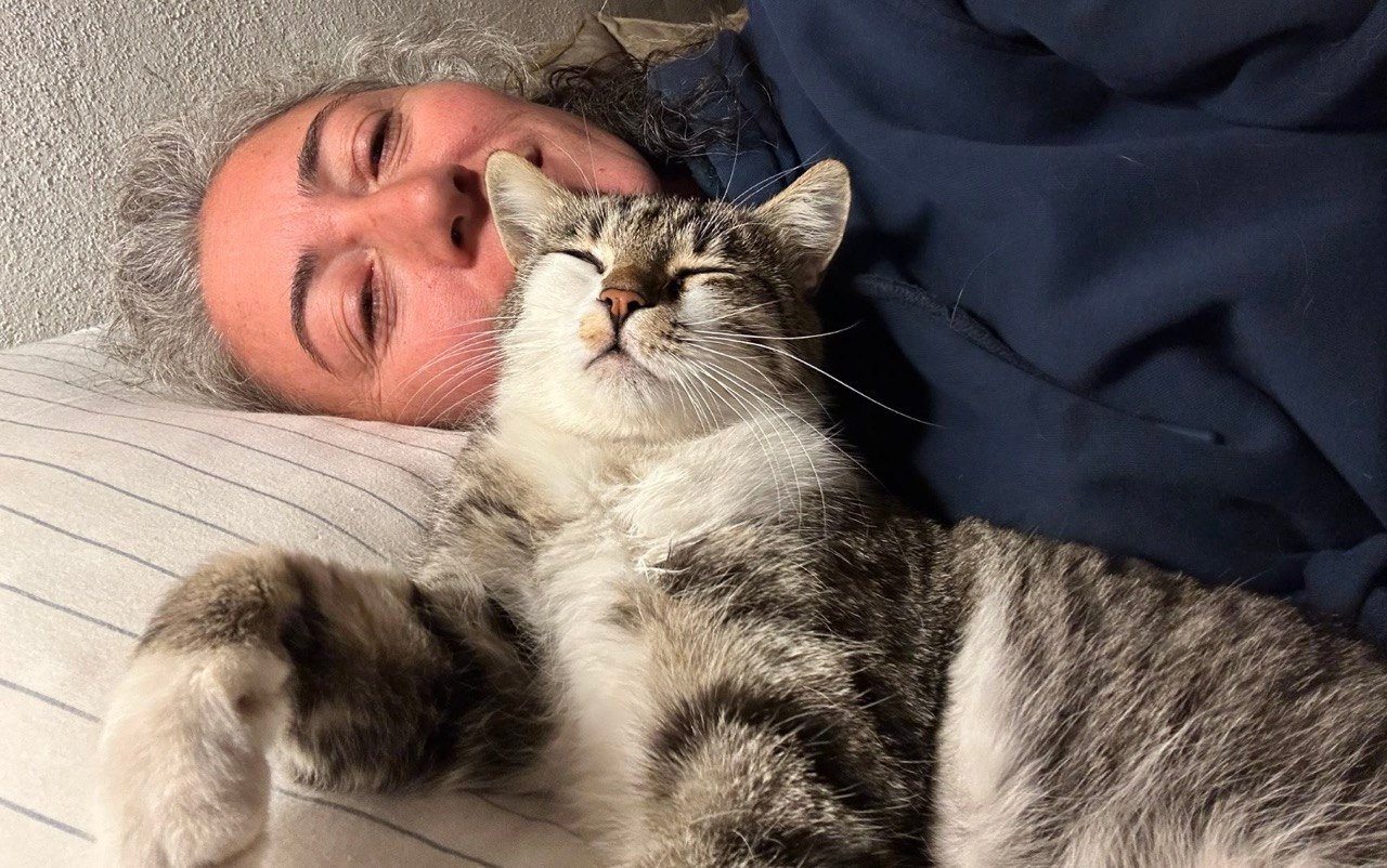 Hilf meiner Freundin Asli, Katzen in der Türkei zu retten! campaign photo, 5 of 7