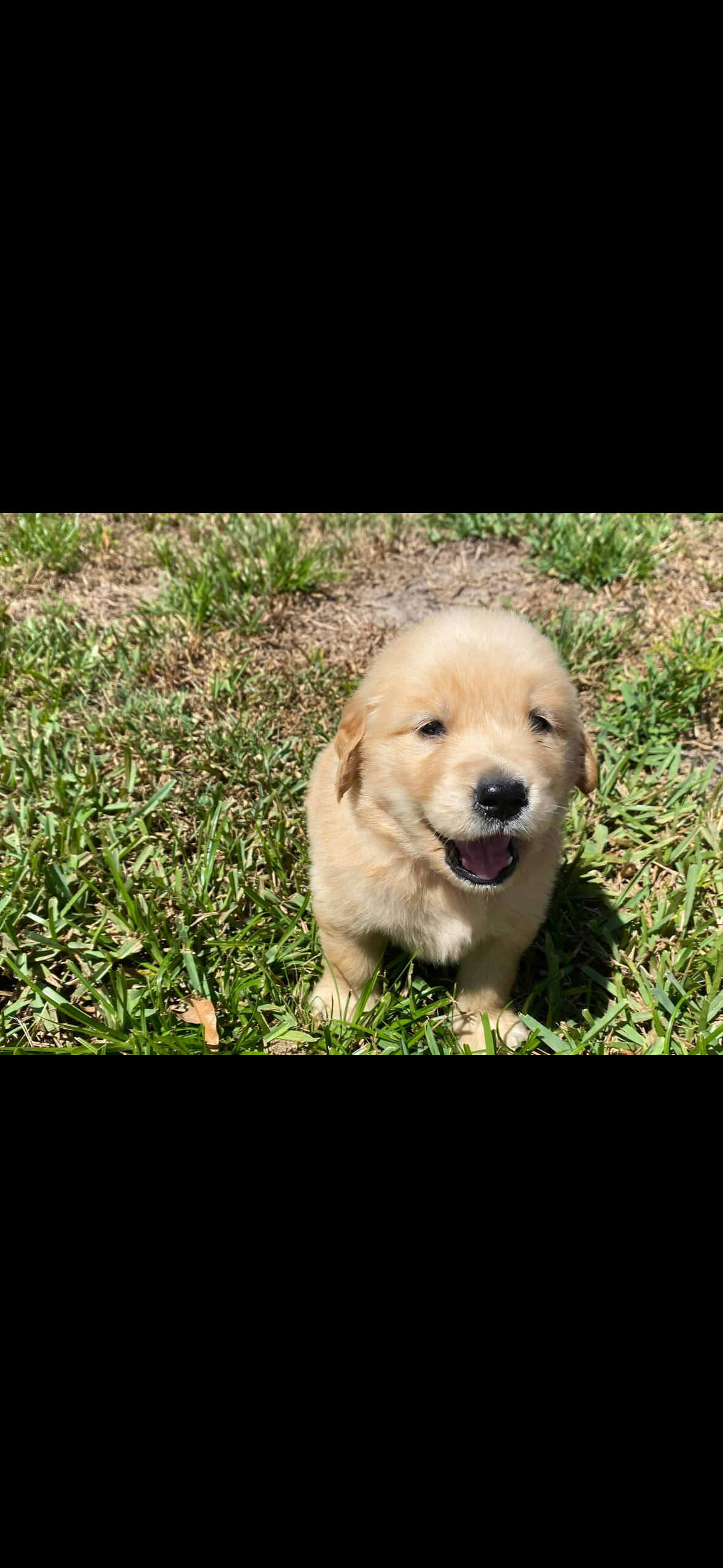 Help prolong Nala’s life. campaign photo, 7 of 8