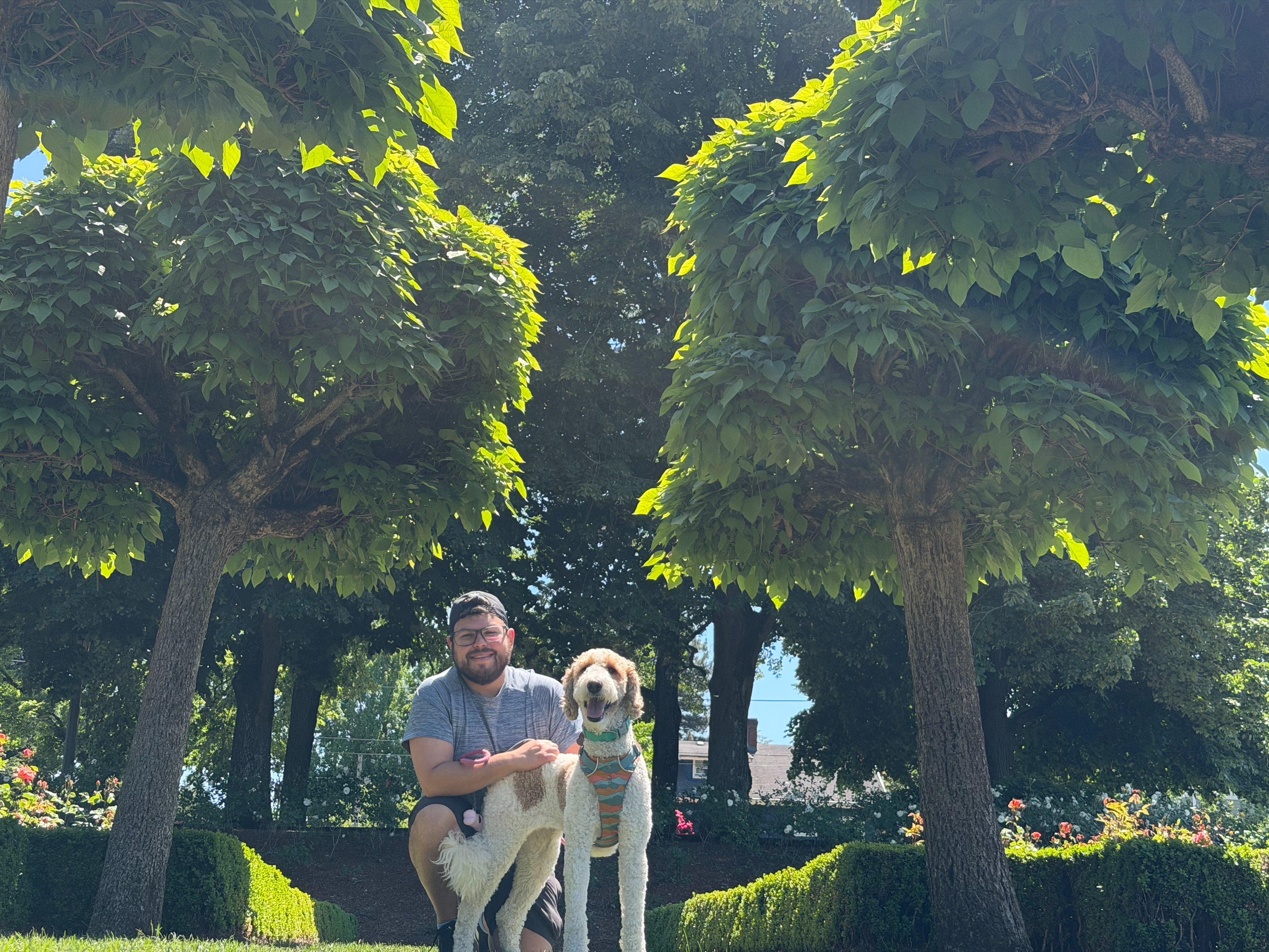 Please help Nova recover after traumatic dog attack campaign photo, 2 of 7