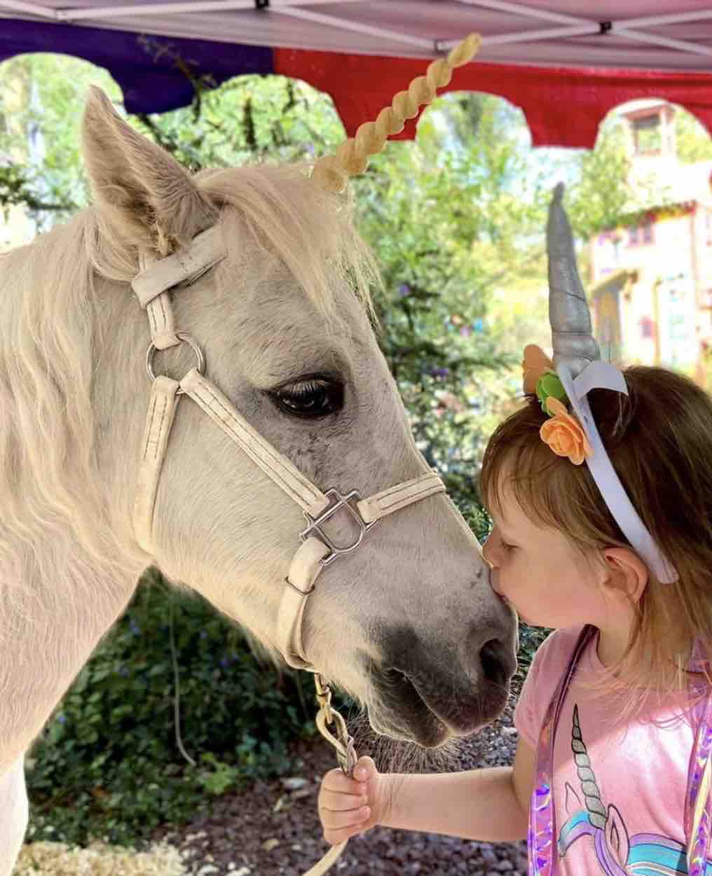 Help Lily the Therapy Unicorn Get Home! campaign photo, 8 of 13