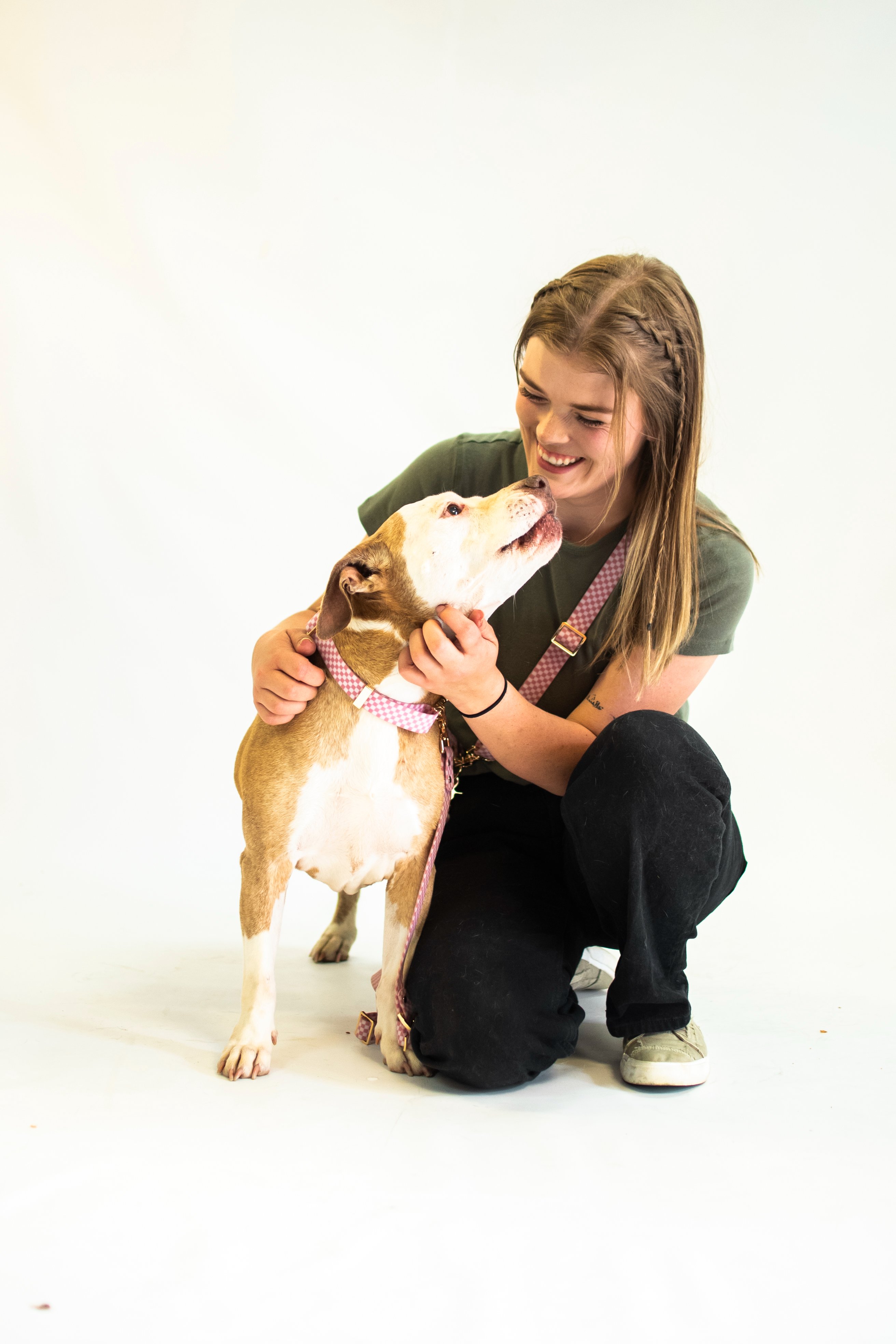 Help Us Save More Senior Dogs campaign photo, 2 of 4