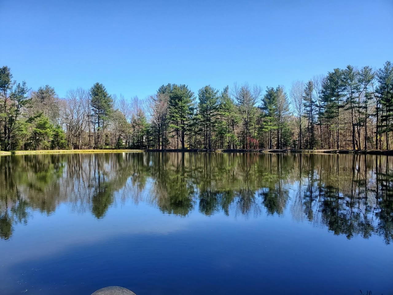 Preserve Sewataro: A Legacy of Nature and Community campaign photo, 4 of 6
