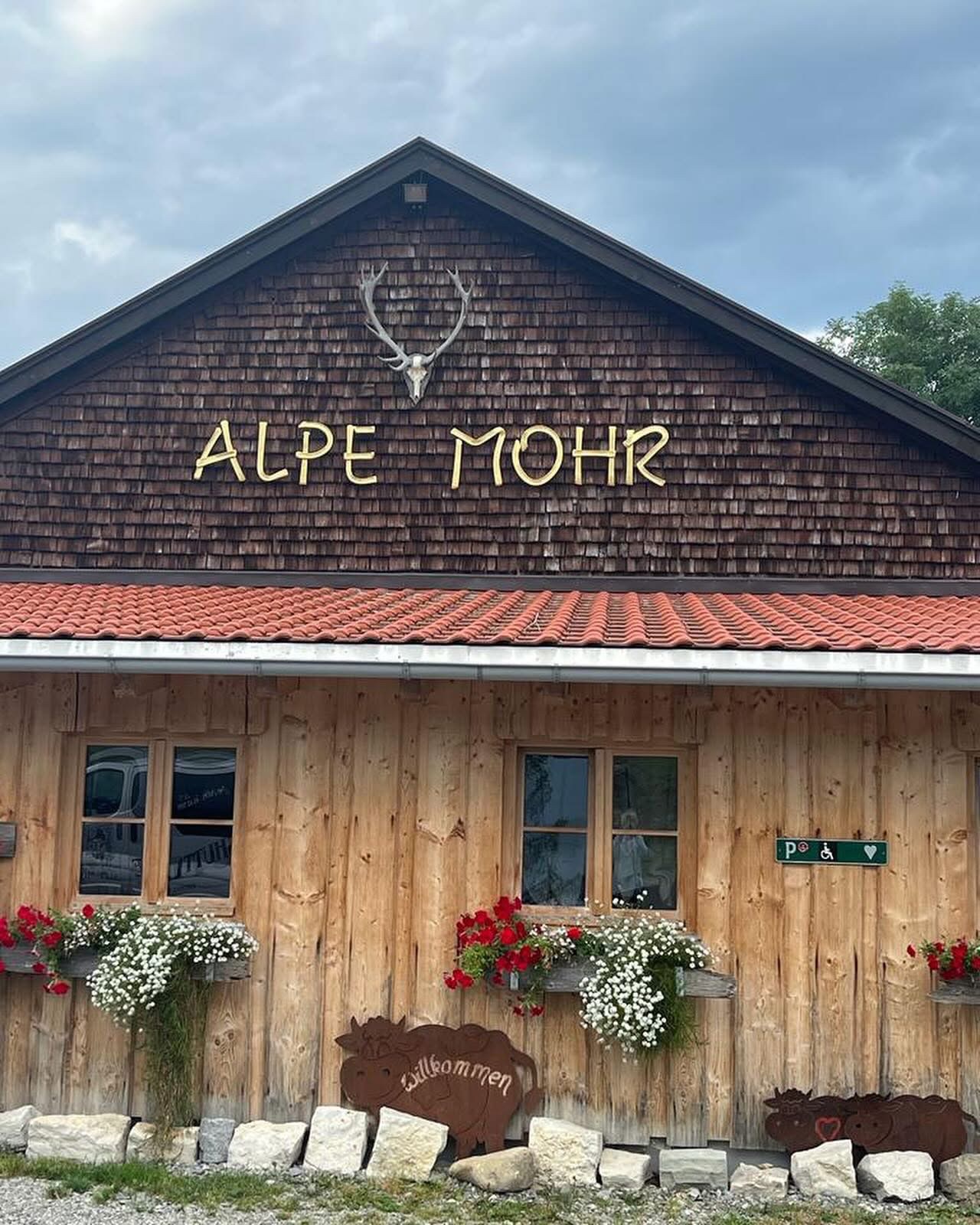 Kampagnen-Foto für Brand der Alpe Mohr - Anne braucht uns!, 2 von 8
