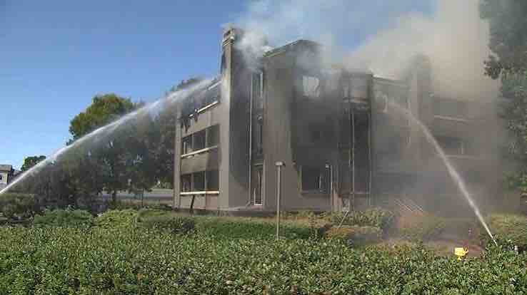 Support Katie and Piper After the Condo Fire campaign photo, 4 of 6