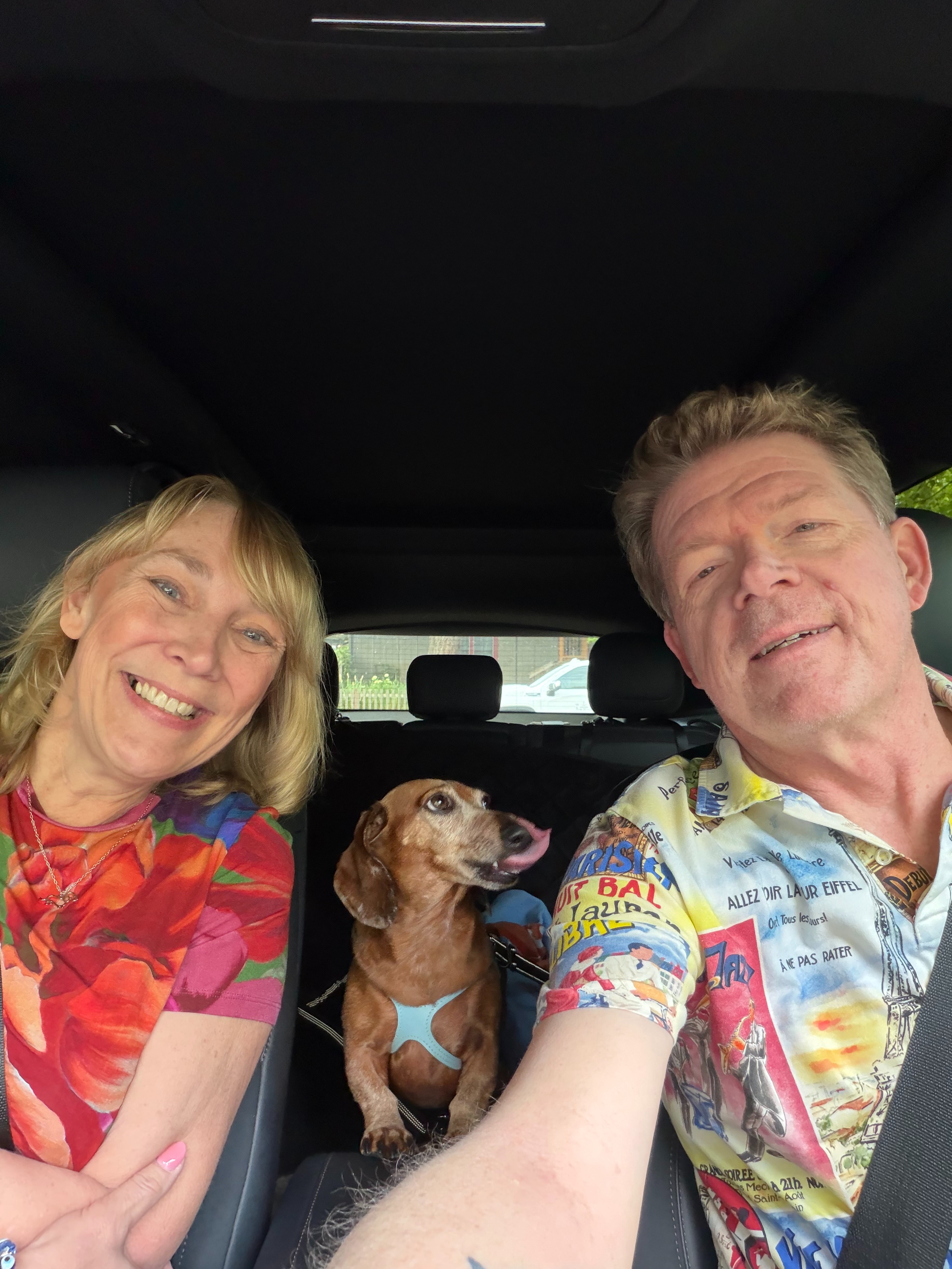 Little Dog, Big Fight: Help Ringo Beat Cancer campaign photo, 5 of 8