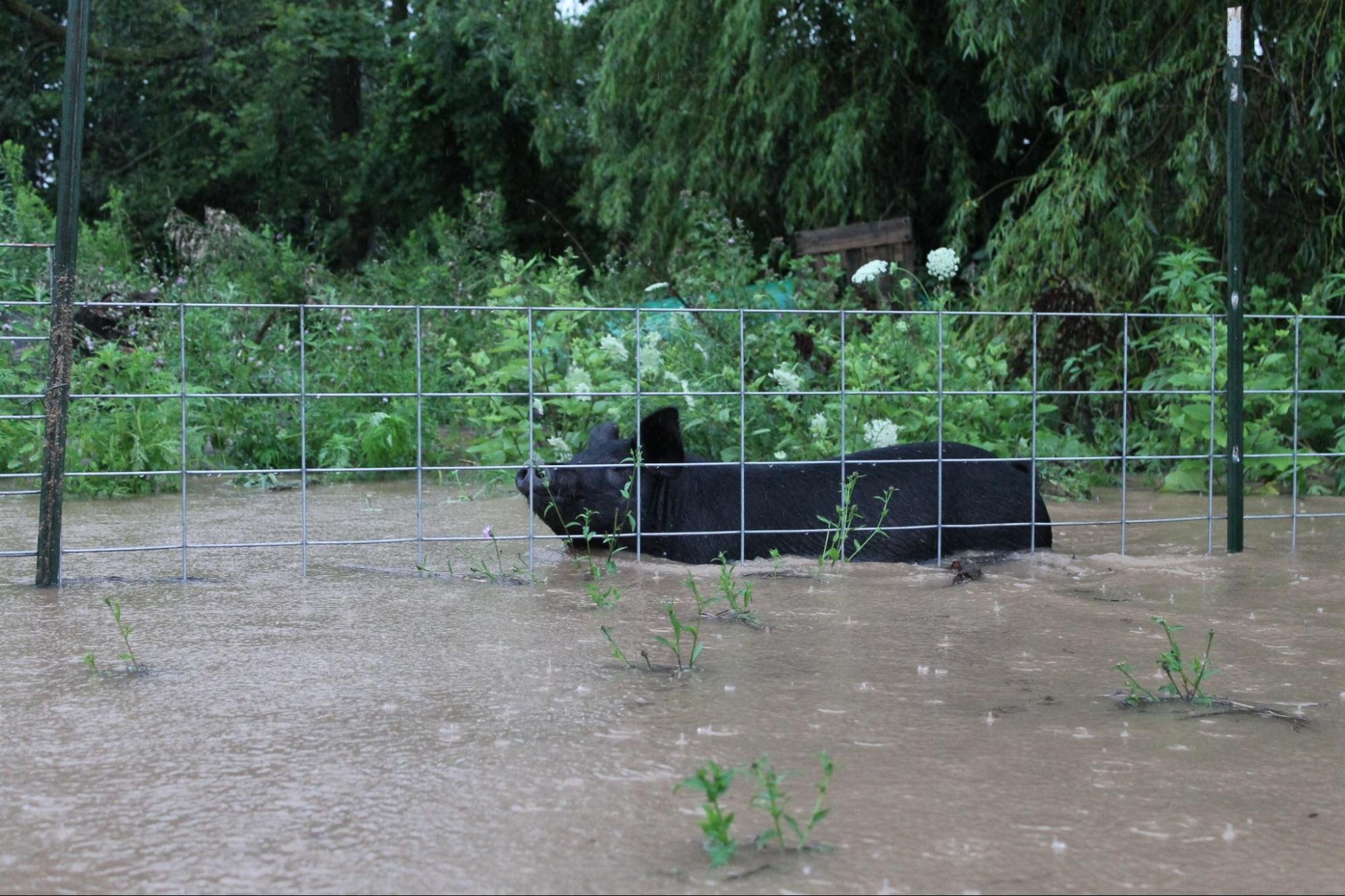 Help the Miller Family Recover from Flooding campaign photo, 2 of 8