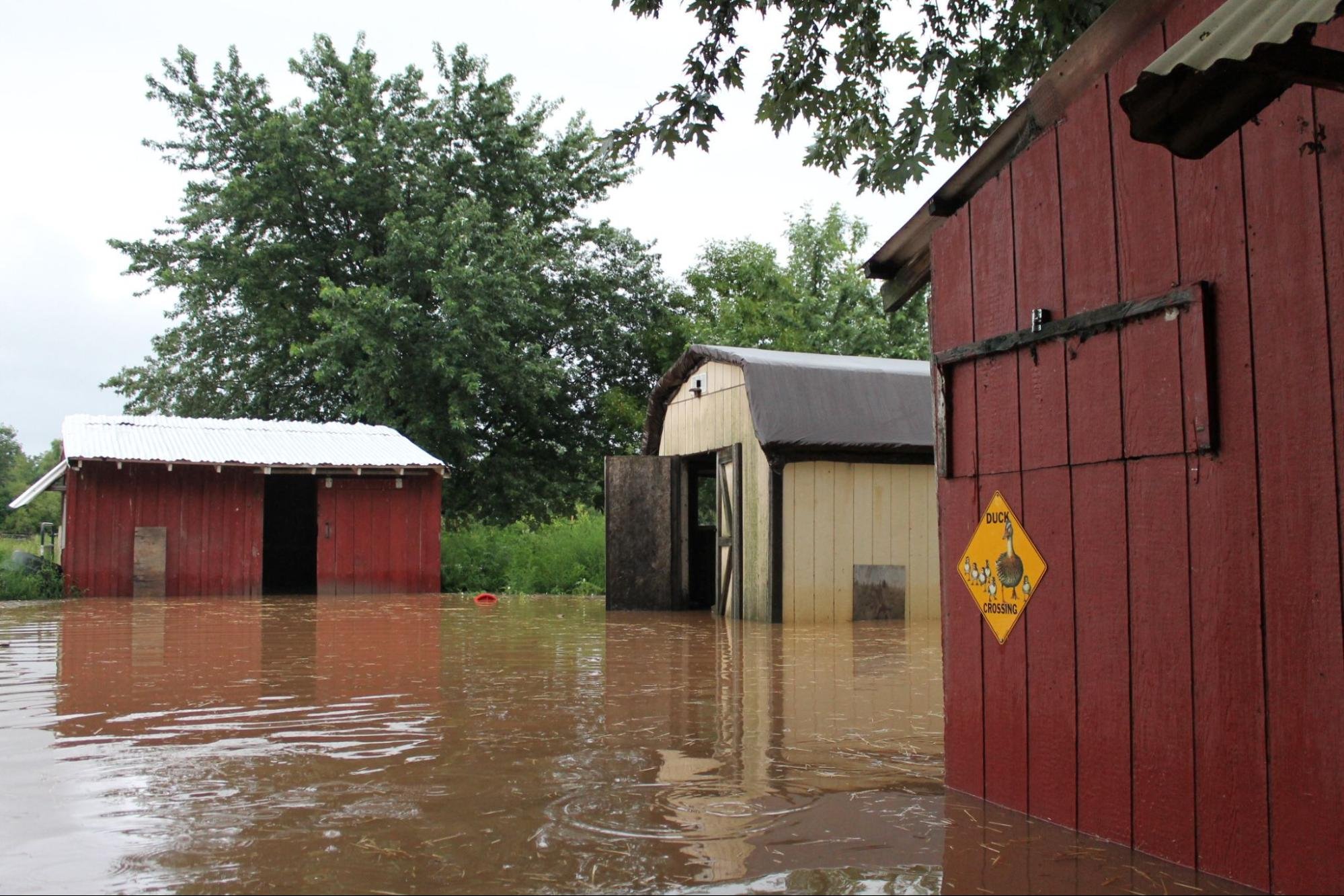 Help the Miller Family Recover from Flooding campaign photo, 4 of 8
