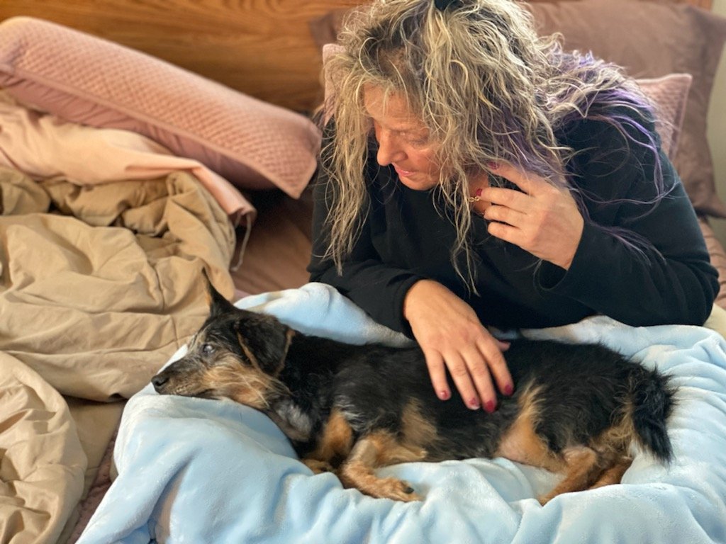 Help kathy and dogs stay together and housed campaign photo, 2 of 8