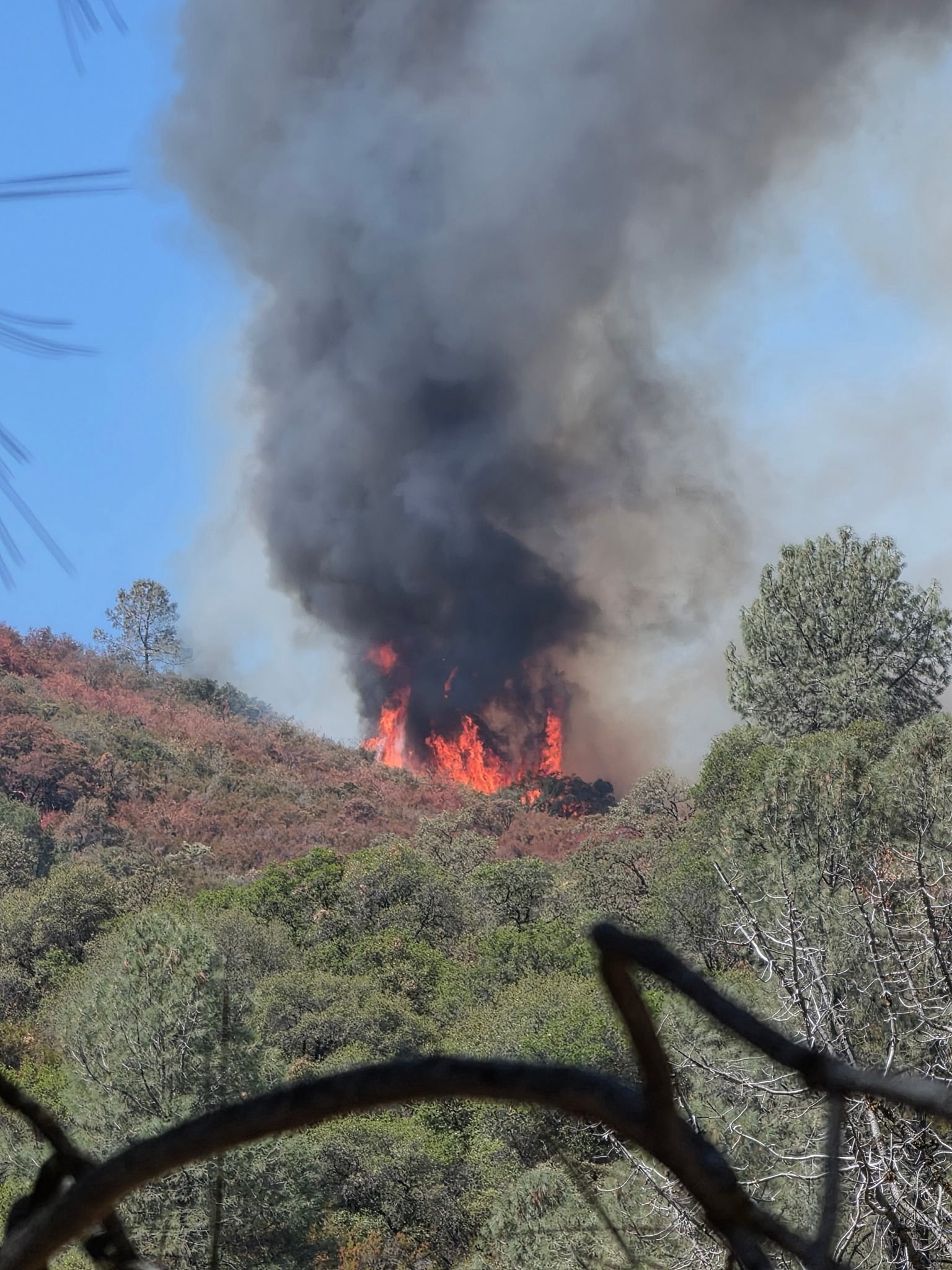 Help CJ and Julia Rebuild After the Gann Fire campaign photo, 7 of 8
