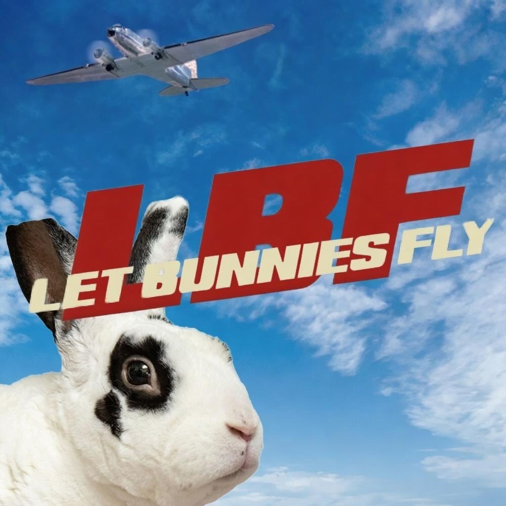 Help LetBunniesFly Become a Nonprofit campaign photo, 4 of 5
