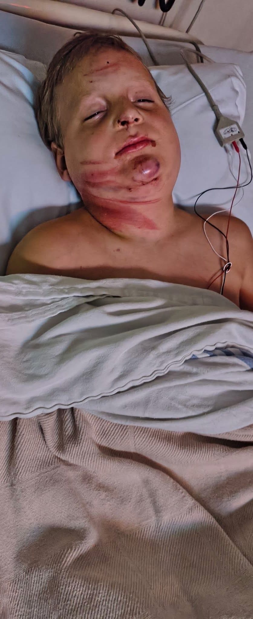 Support for Spies Family After Accident campaign photo, 5 of 6