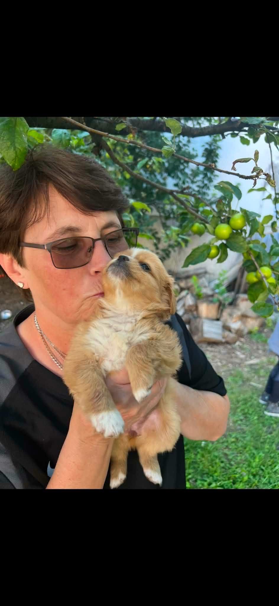 Saving Buddy for life dog rescue! campaign photo, 4 of 8