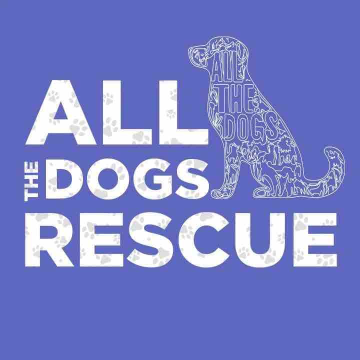 Help All The Dogs Provide Care for TMAS Dogs  campaign photo, 7 of 8
