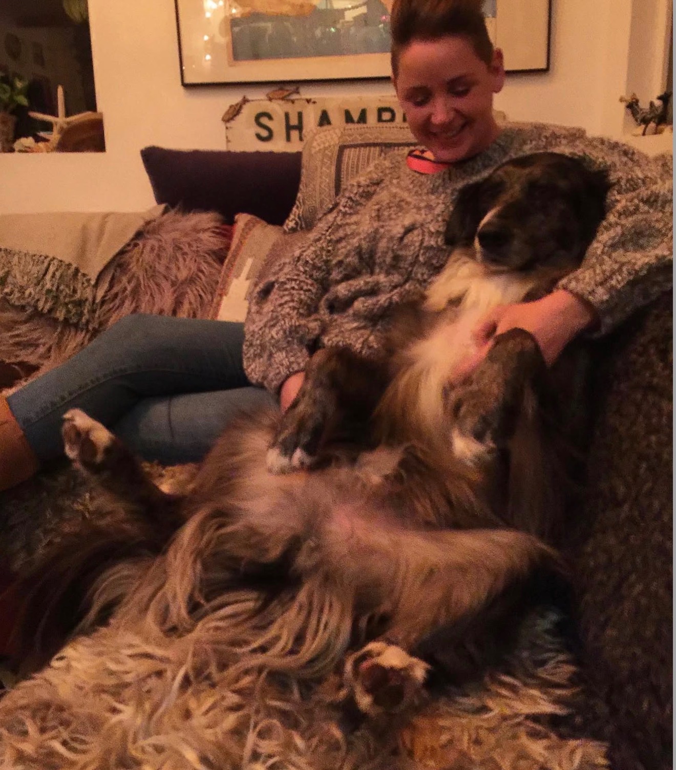 Supporting Gandalf’s Journey with Kristine & Dave campaign photo, 2 of 8